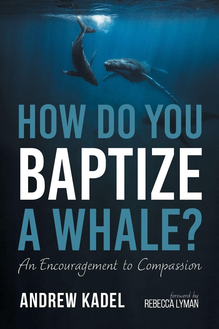 Vorderes Coverbild How Do You Baptize a Whale?