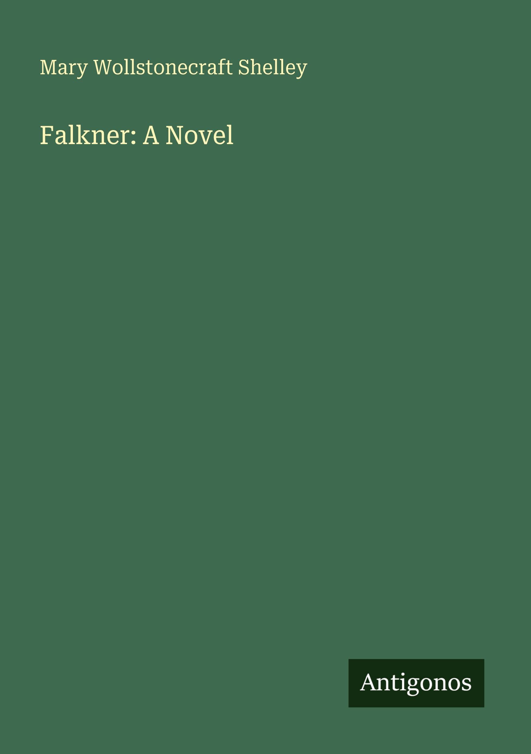 Vorderes Coverbild Falkner: A Novel