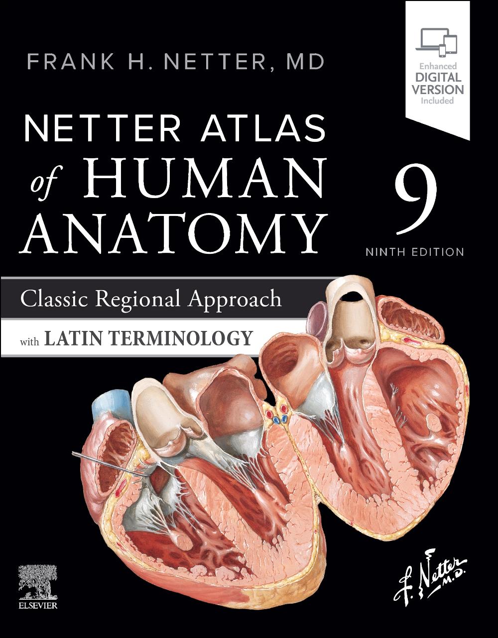 Vorderes Coverbild Netter Atlas of Human Anatomy: Classic Regional Approach with Latin Terminology