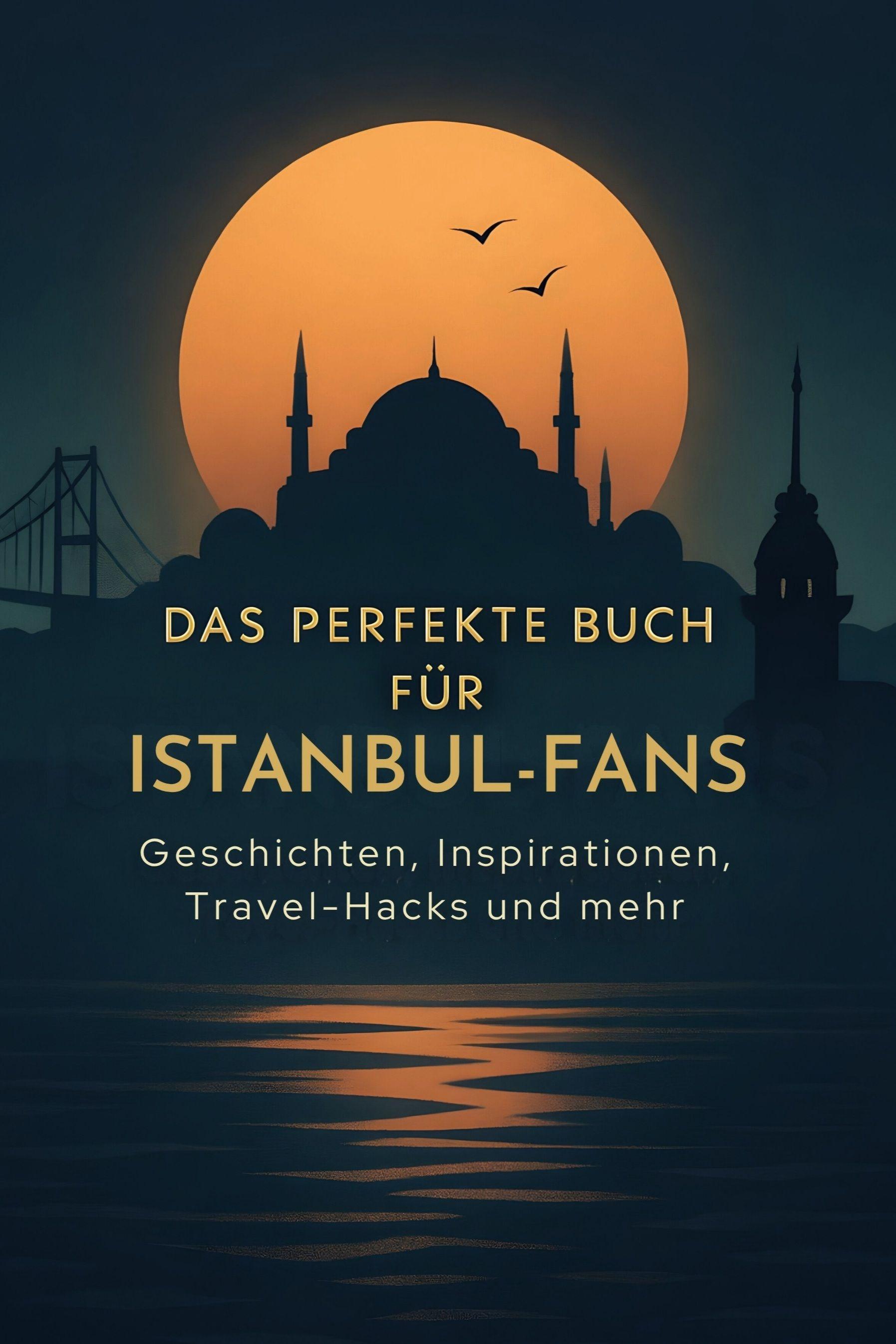 Vorderes Coverbild Das perfekte Buch für Istanbul-Fans