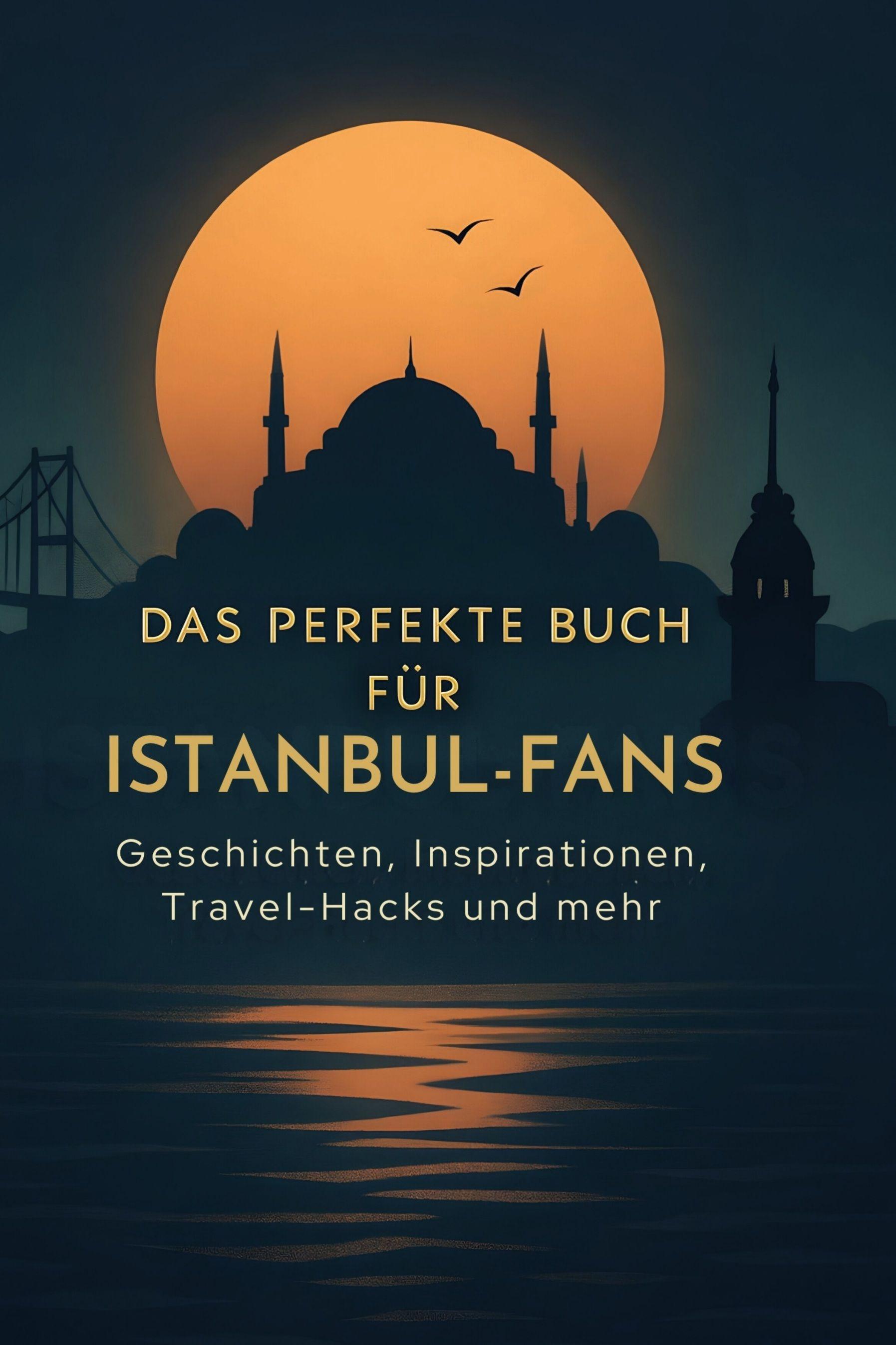 Vorderes Coverbild Das perfekte Buch für Istanbul-Fans