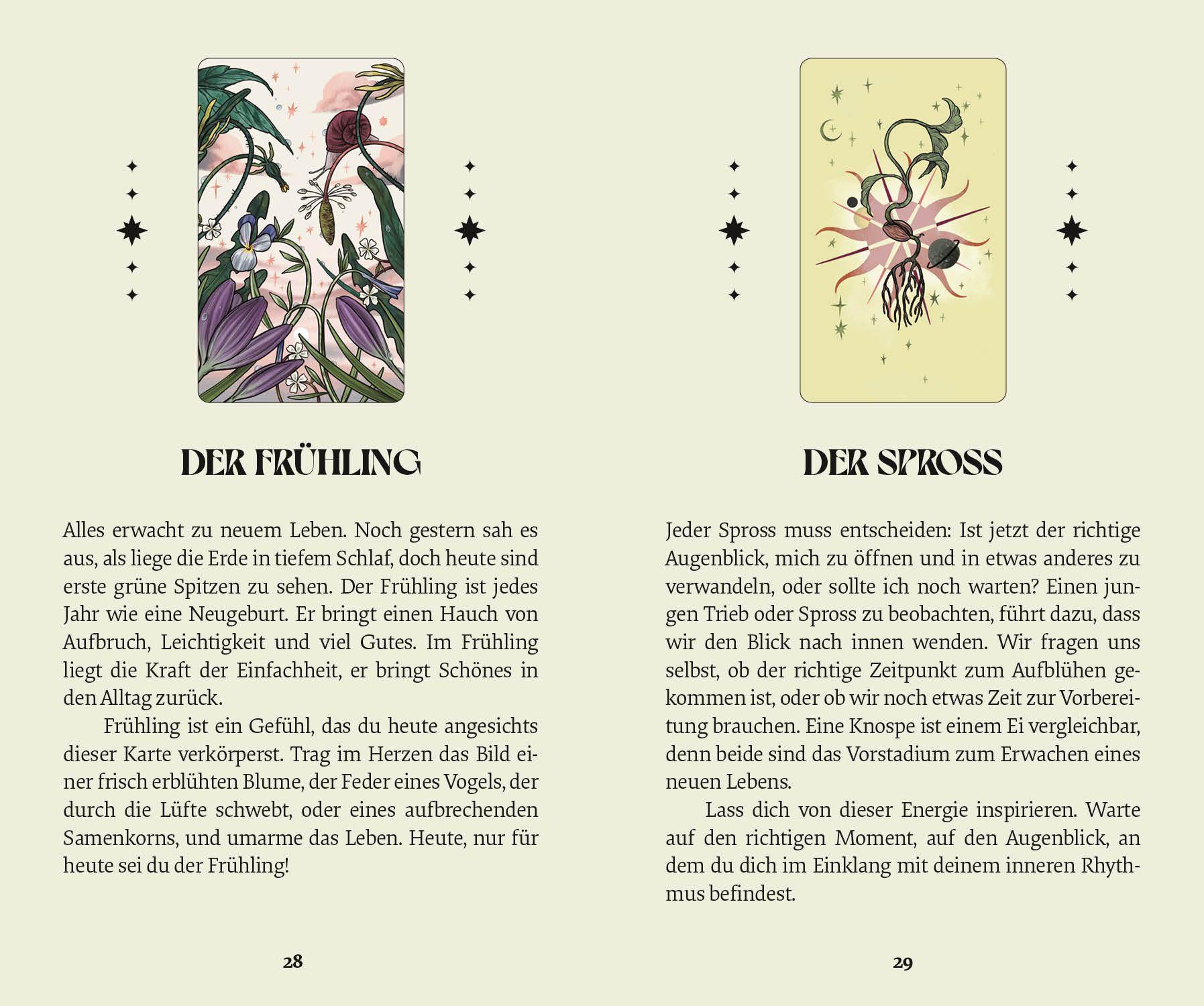 Beispielinhalt (Bild) Herbana Hexenorakel