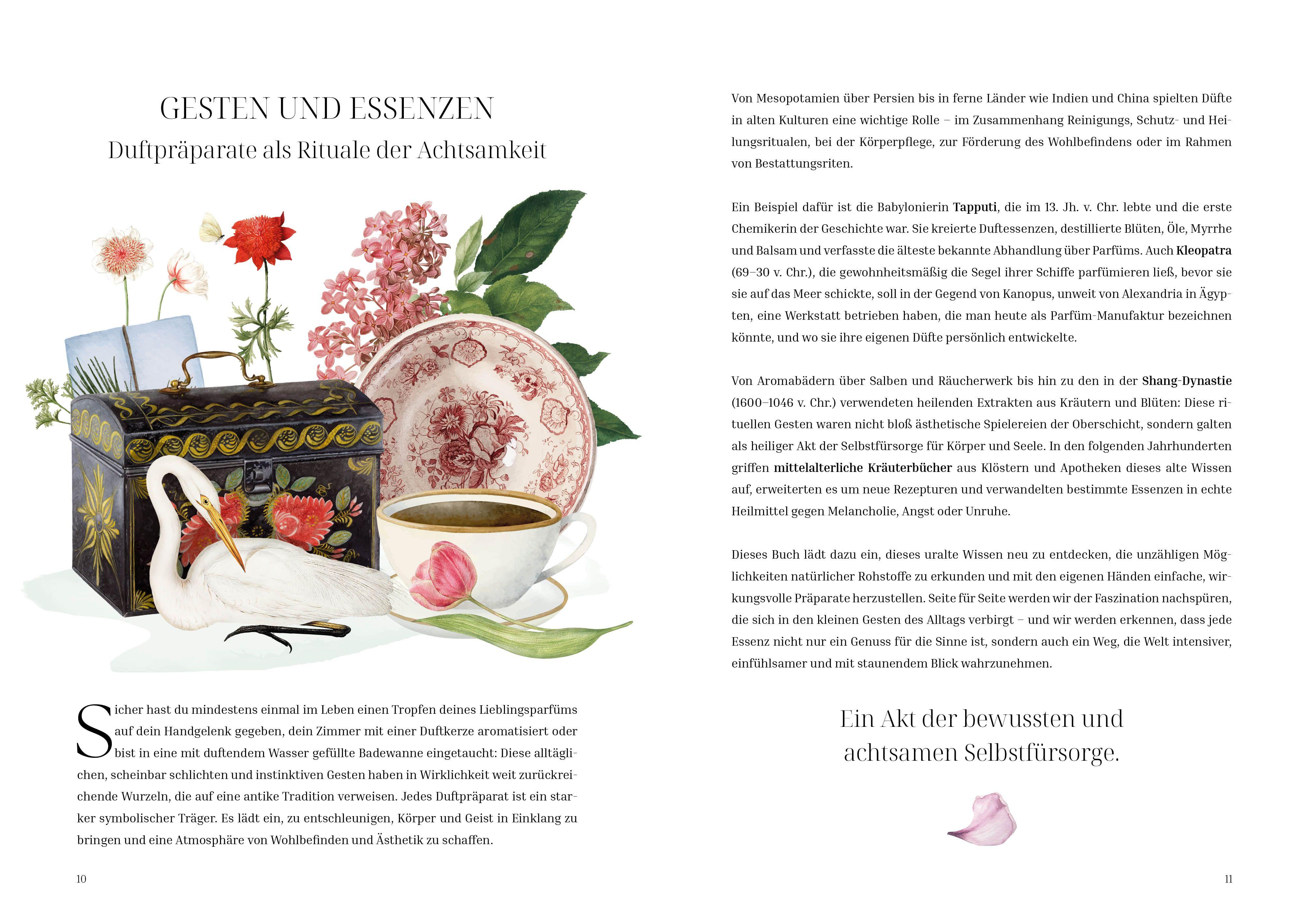 Beispielinhalt (Bild) Im Reich der Düfte