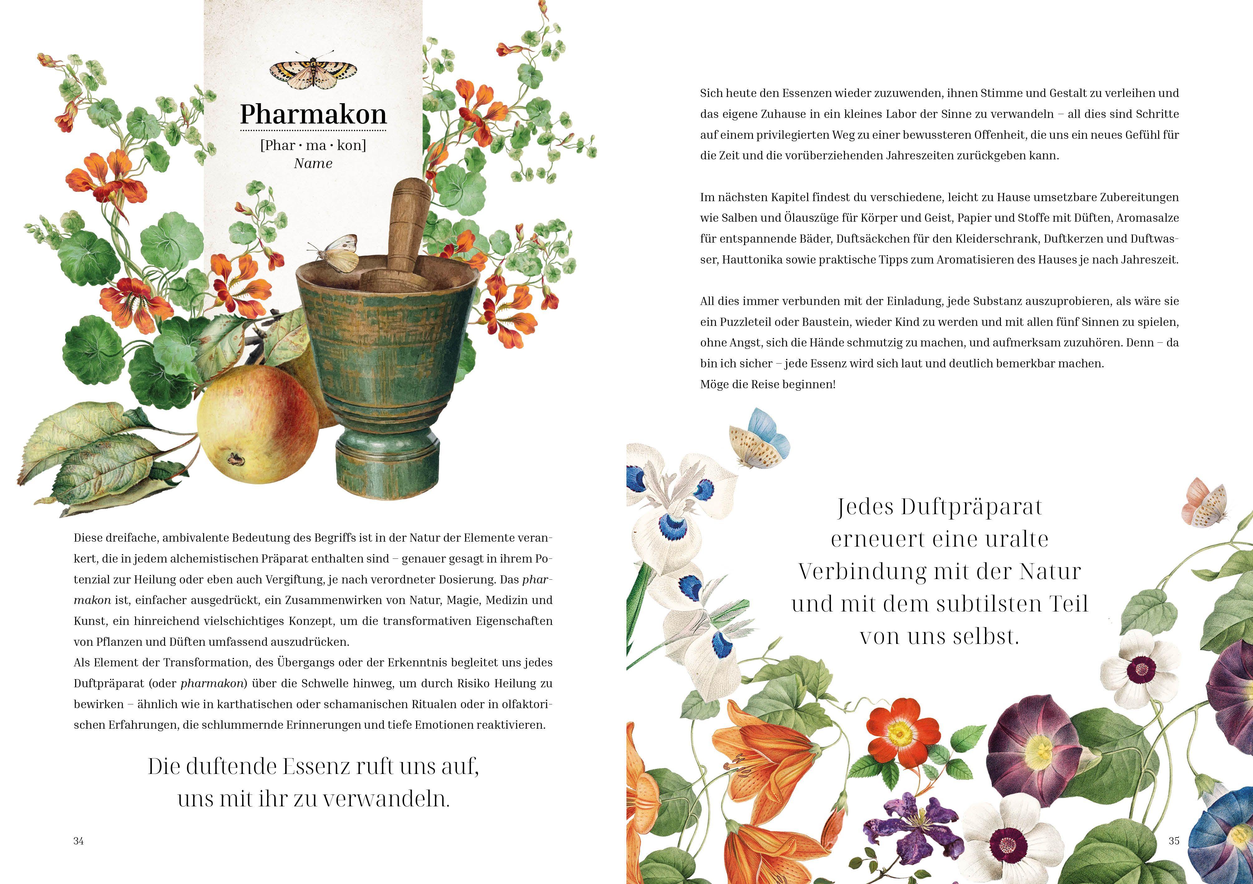 Beispielinhalt (Bild) Im Reich der Düfte