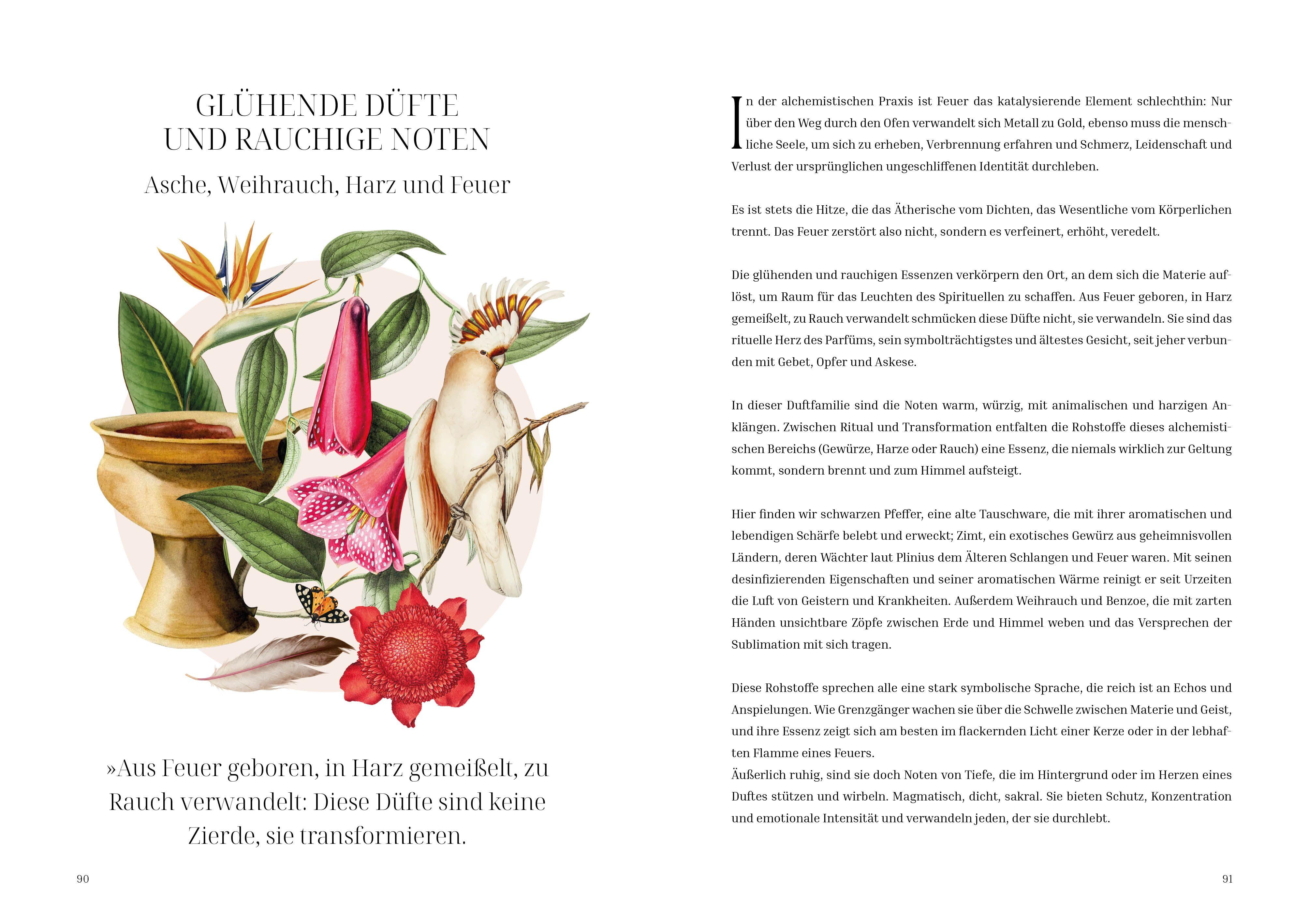 Beispielinhalt (Bild) Im Reich der Düfte