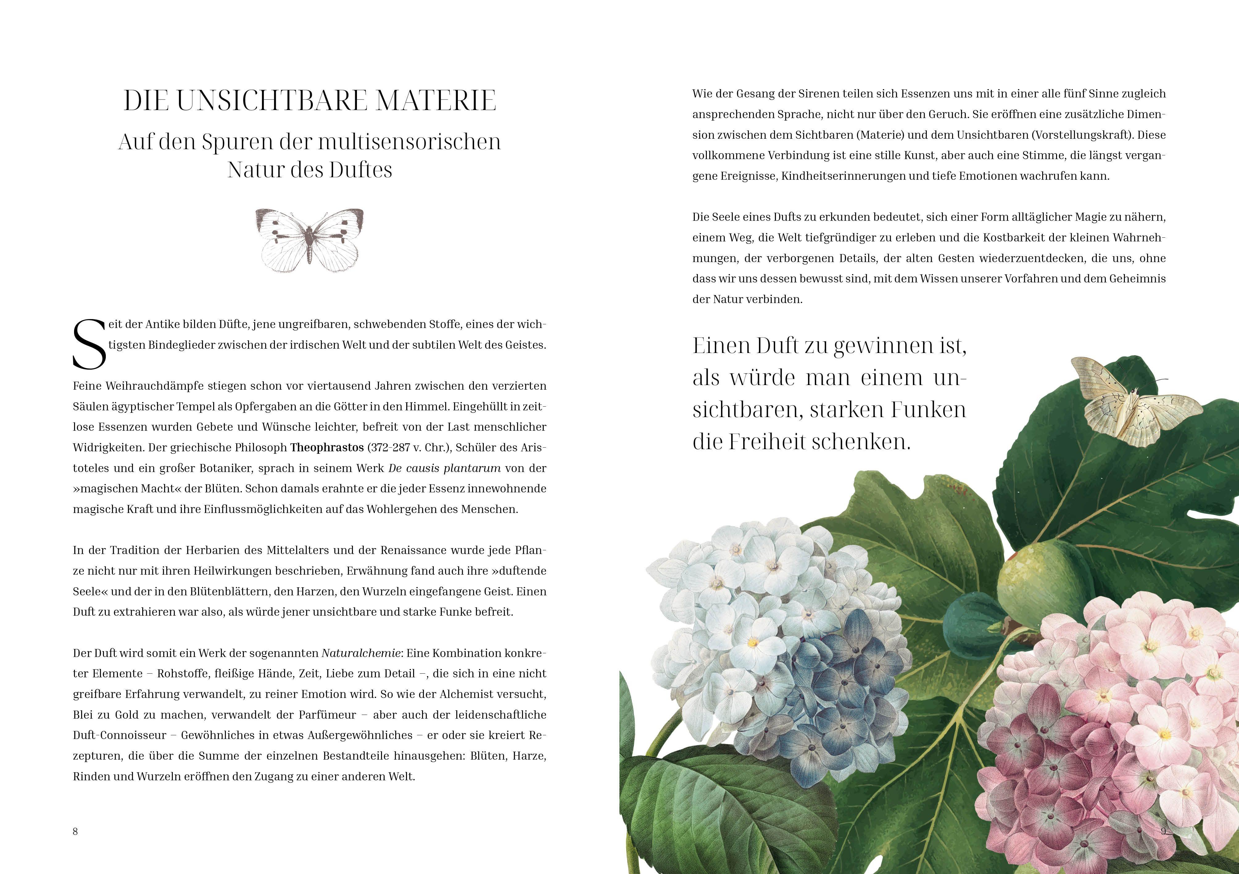 Beispielinhalt (Bild) Im Reich der Düfte