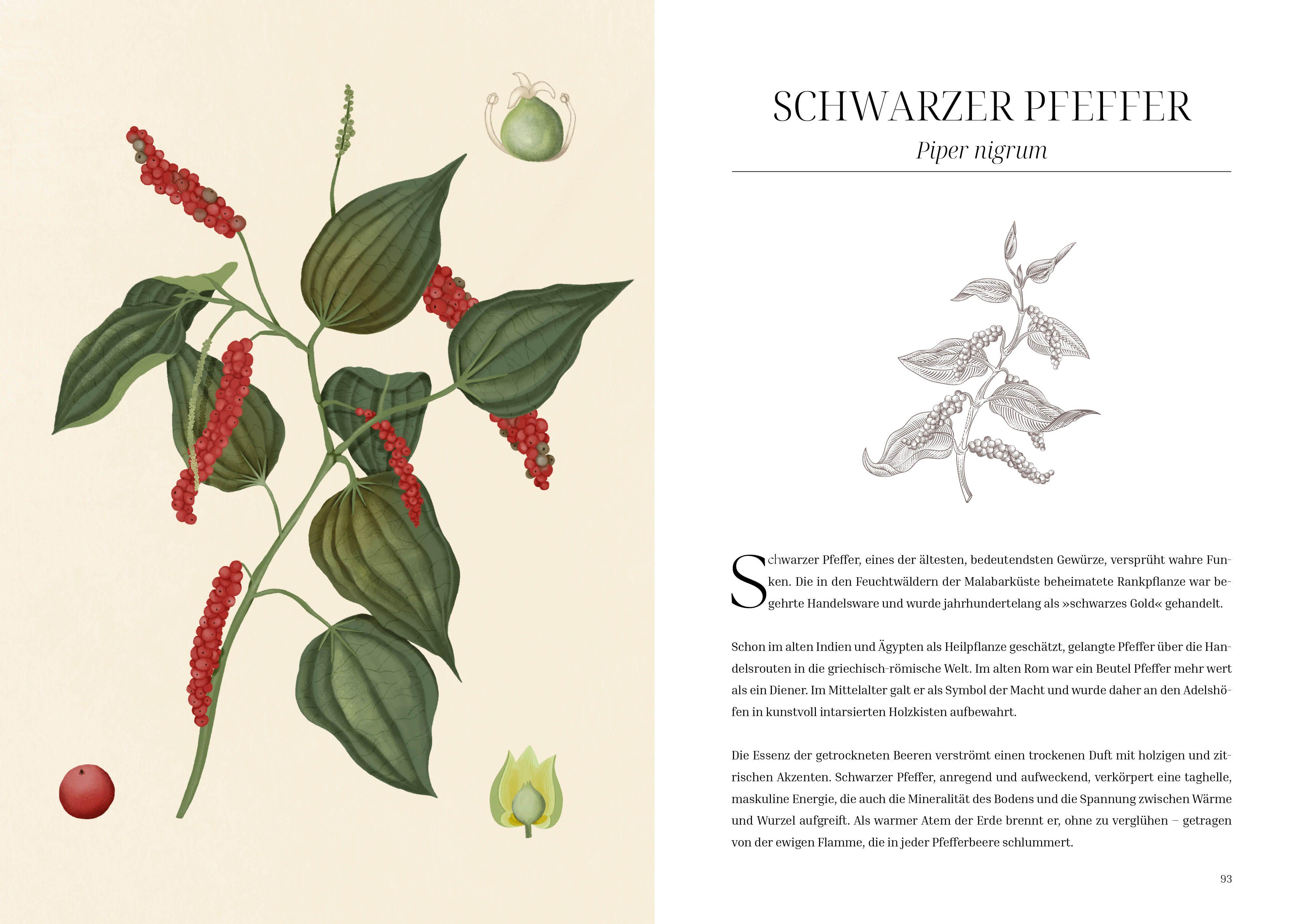 Beispielinhalt (Bild) Im Reich der Düfte