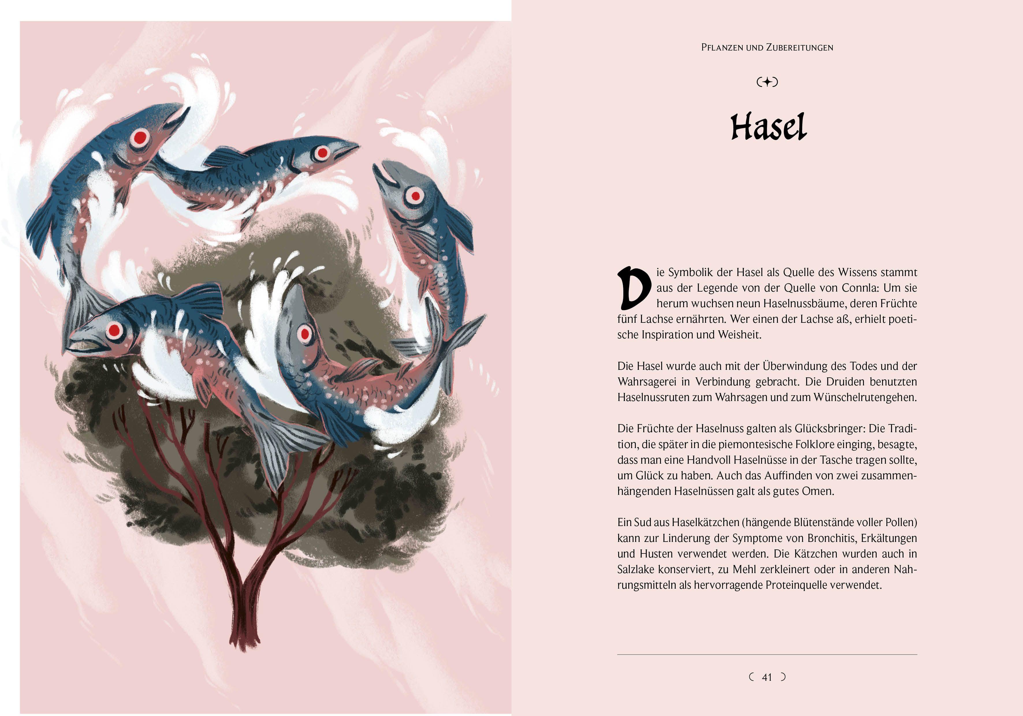 Beispielinhalt (Bild) Kelten