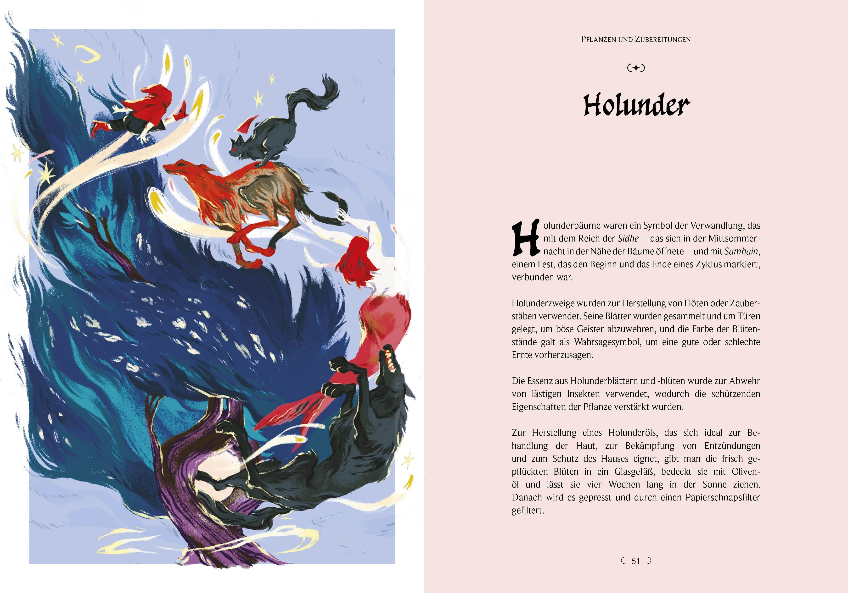 Beispielinhalt (Bild) Kelten