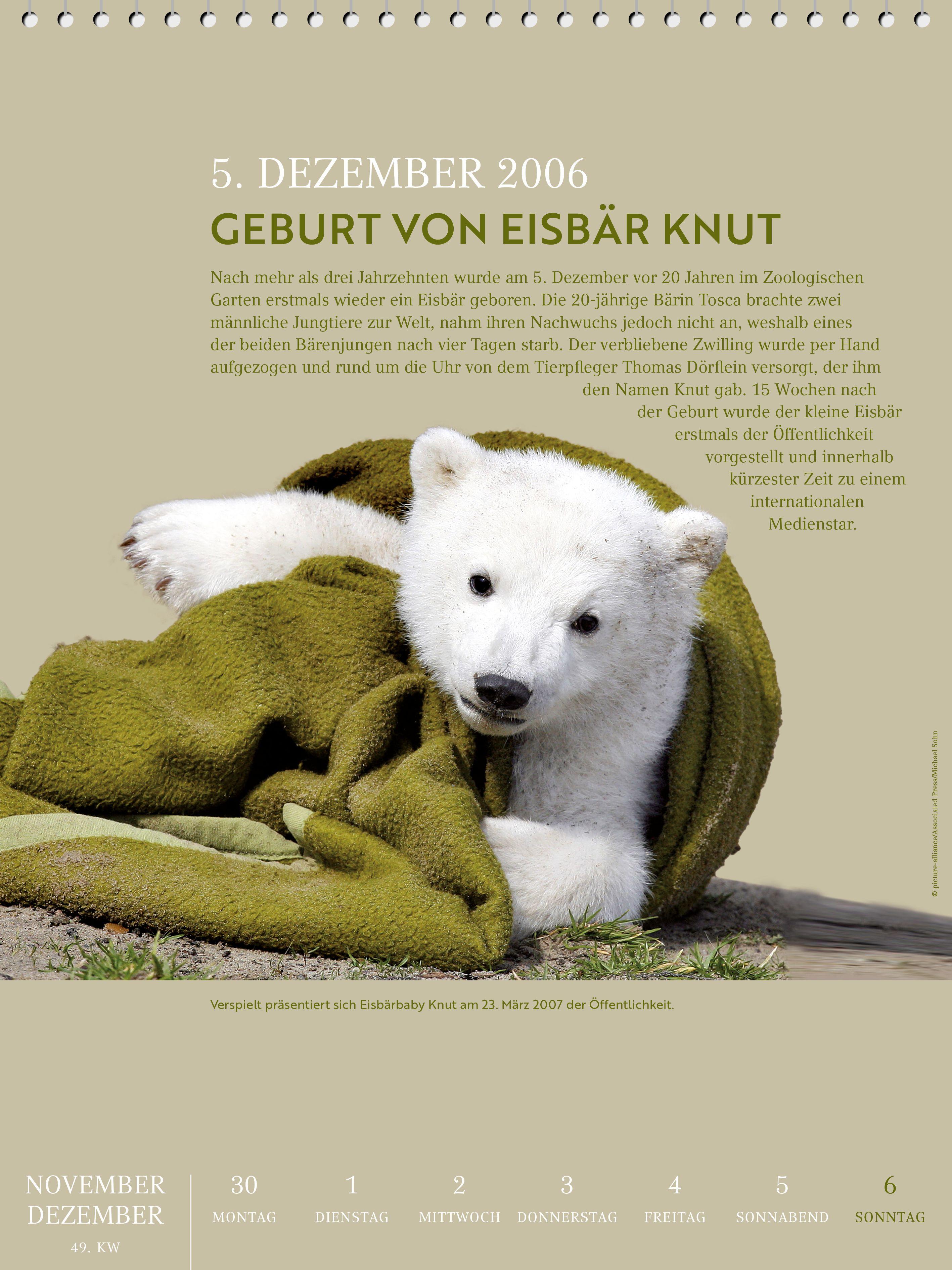 Beispielinhalt (Bild) Berliner Geschichte 2027