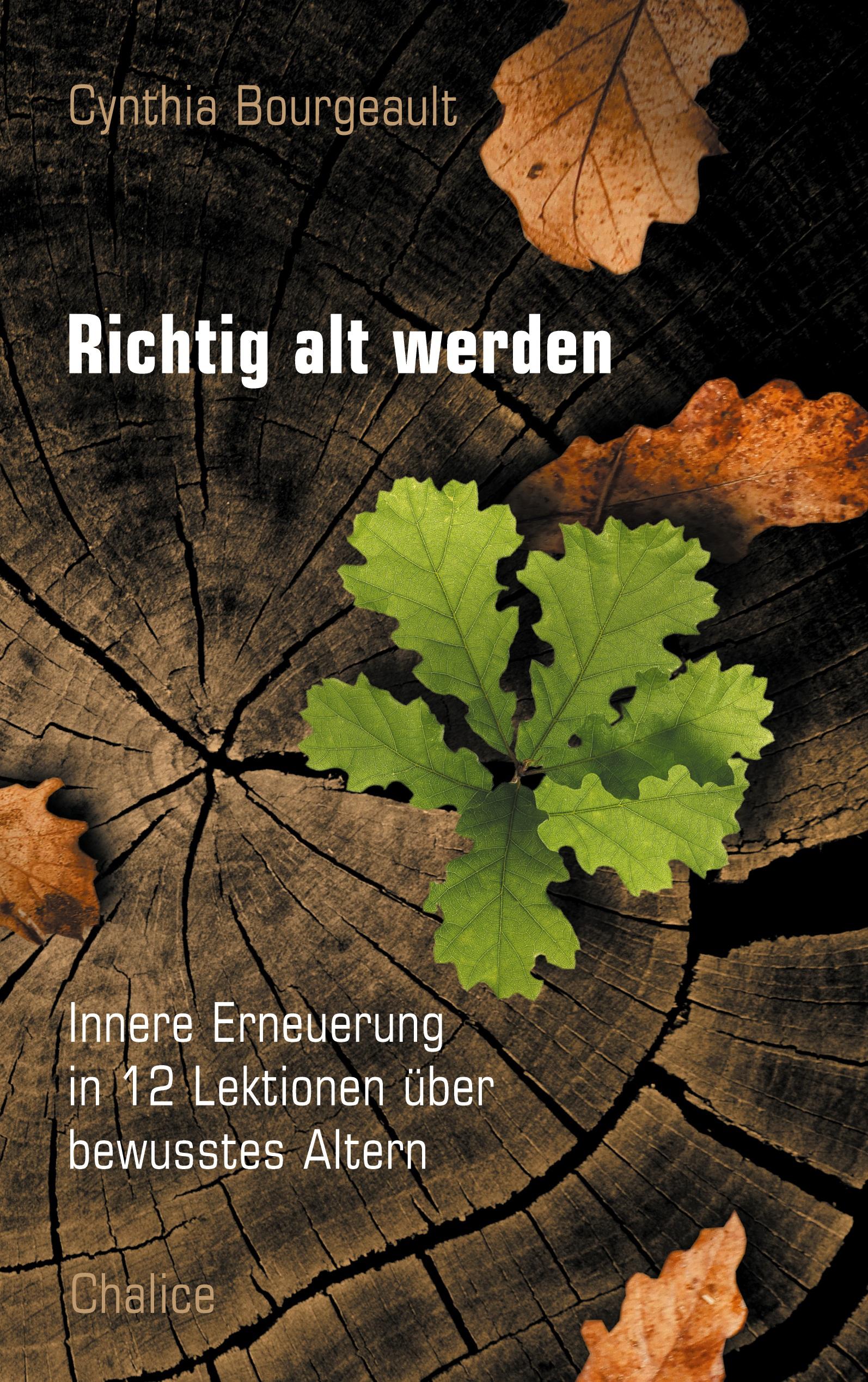 Vorderes Coverbild Richtig alt werden