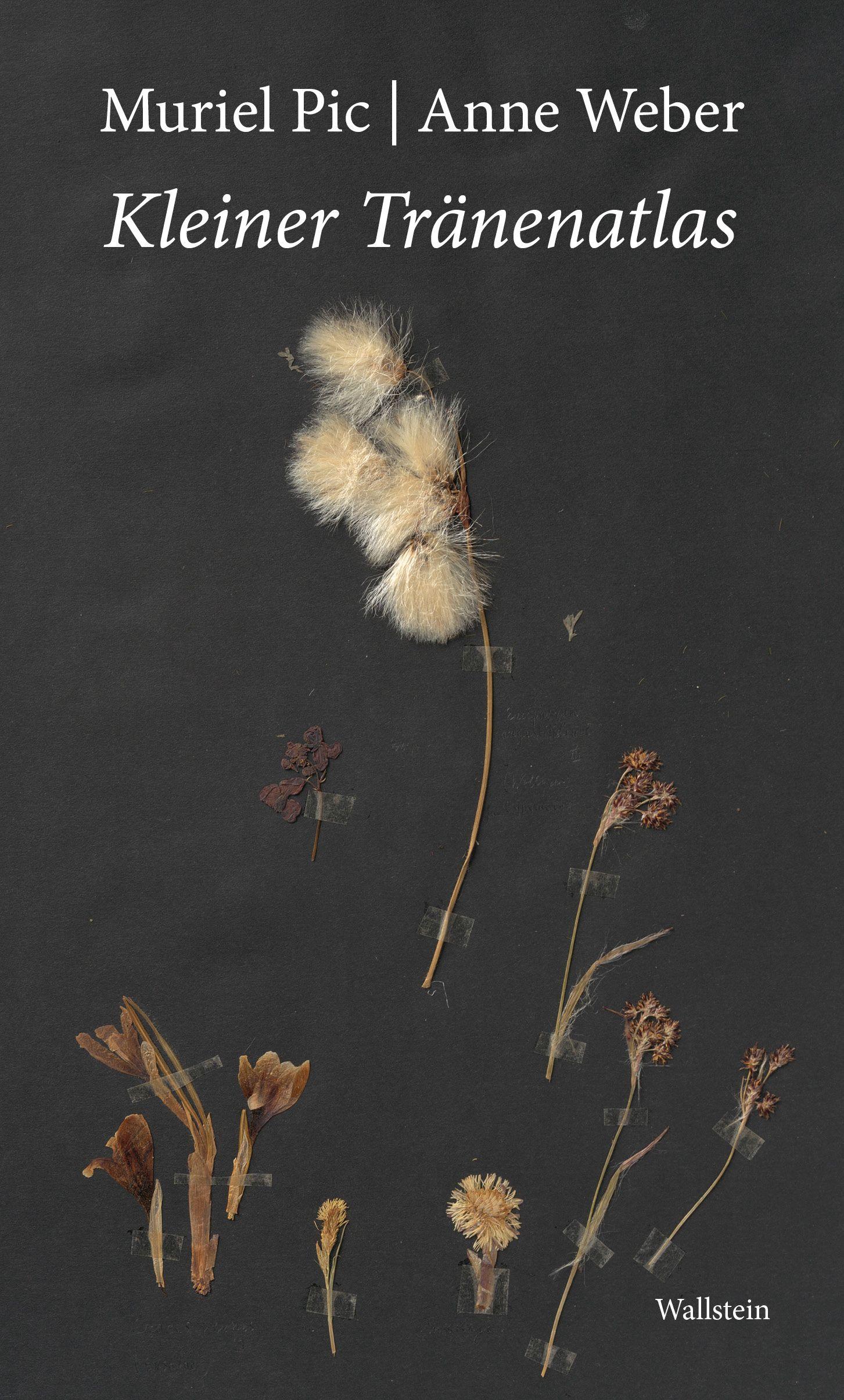 Vorderes Coverbild Kleiner Tränenatlas