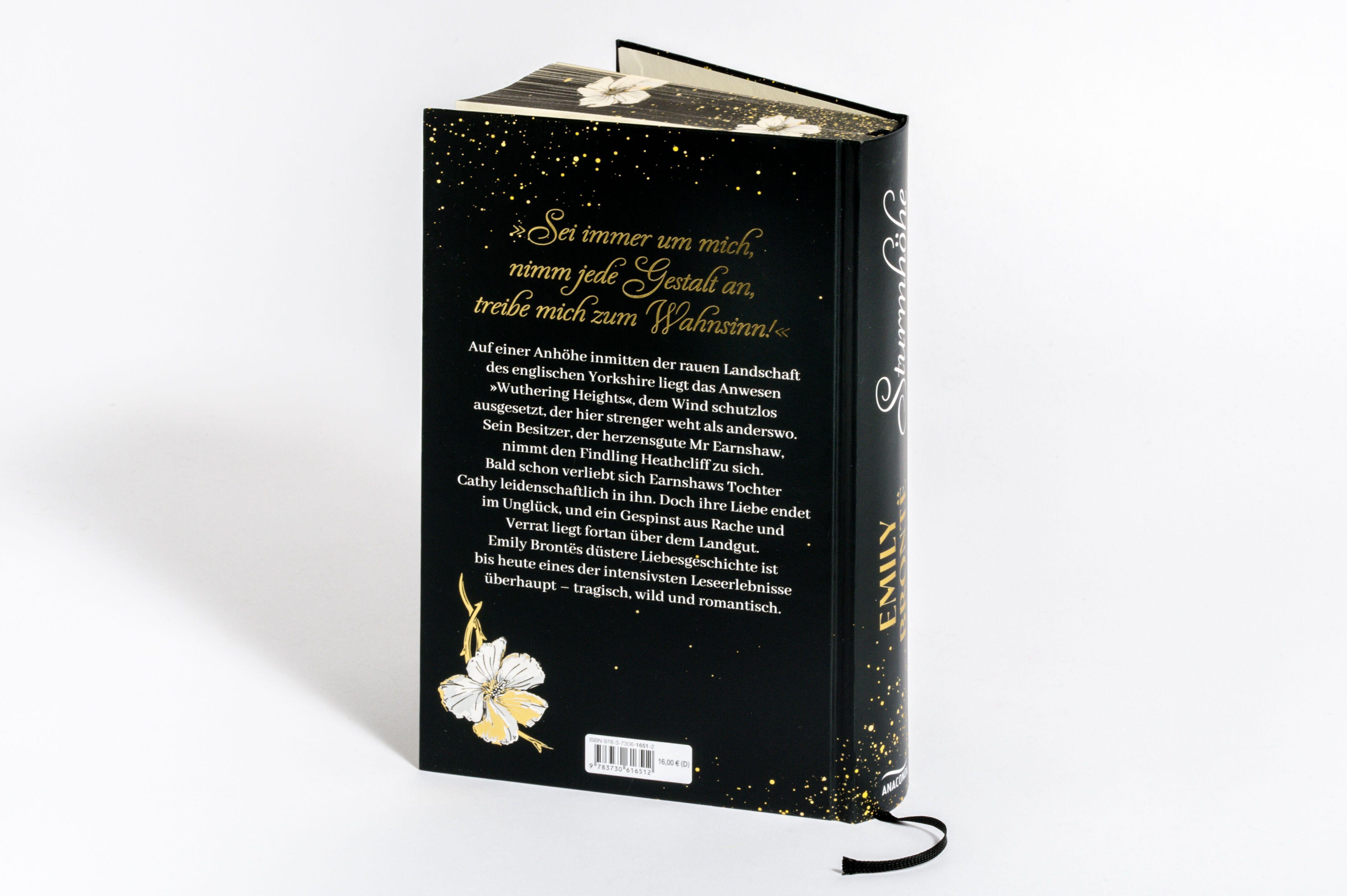 Beispielinhalt (Bild) Emily Brontë, Sturmhöhe