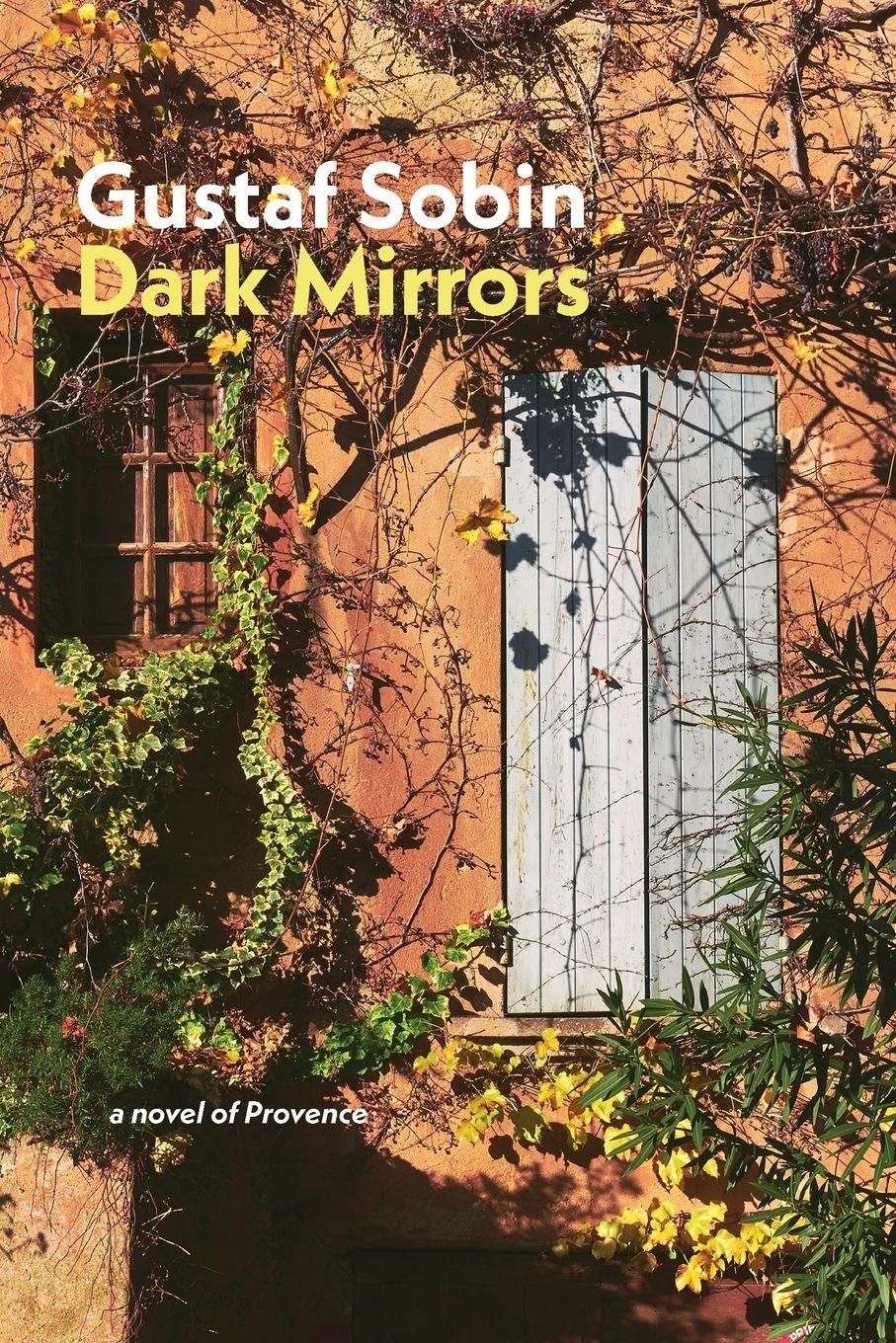 Vorderes Coverbild Dark Mirrors