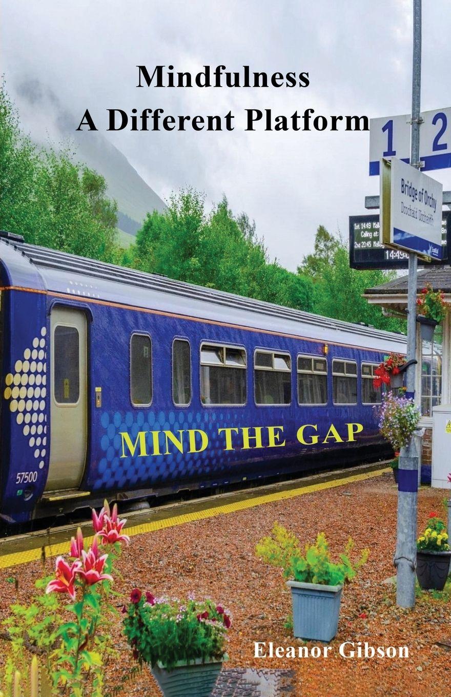 Vorderes Coverbild Mindfulness - A Different Platform