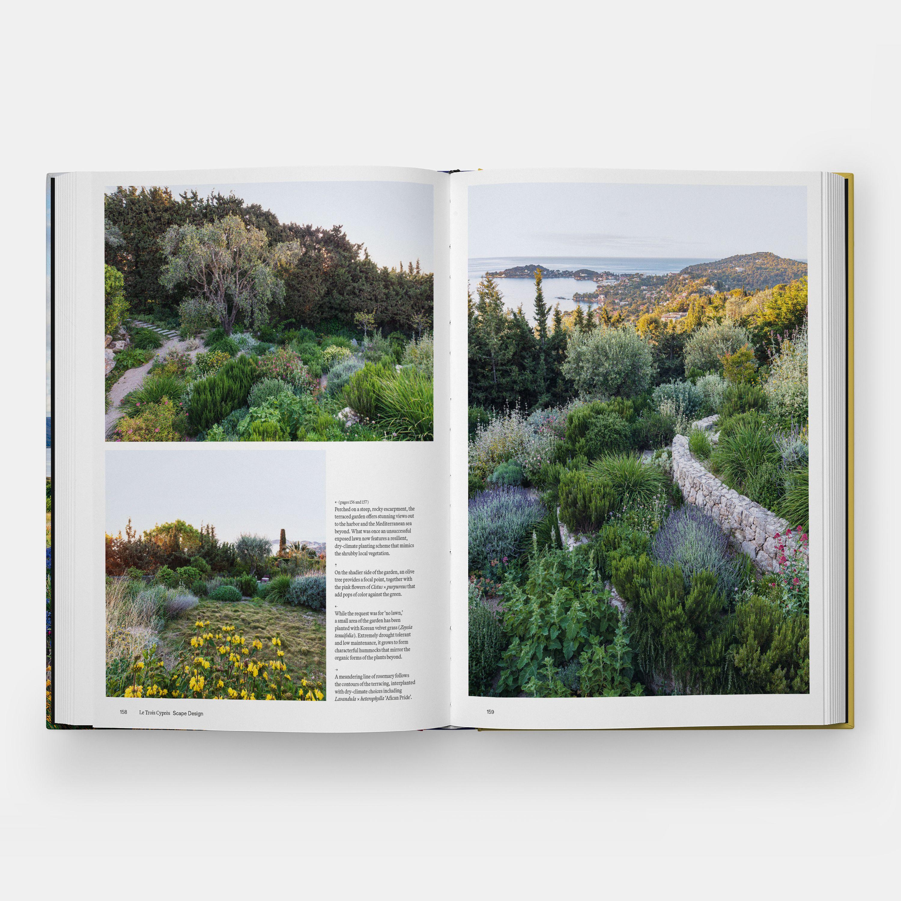 Beispielinhalt (Bild) The Coastal Garden