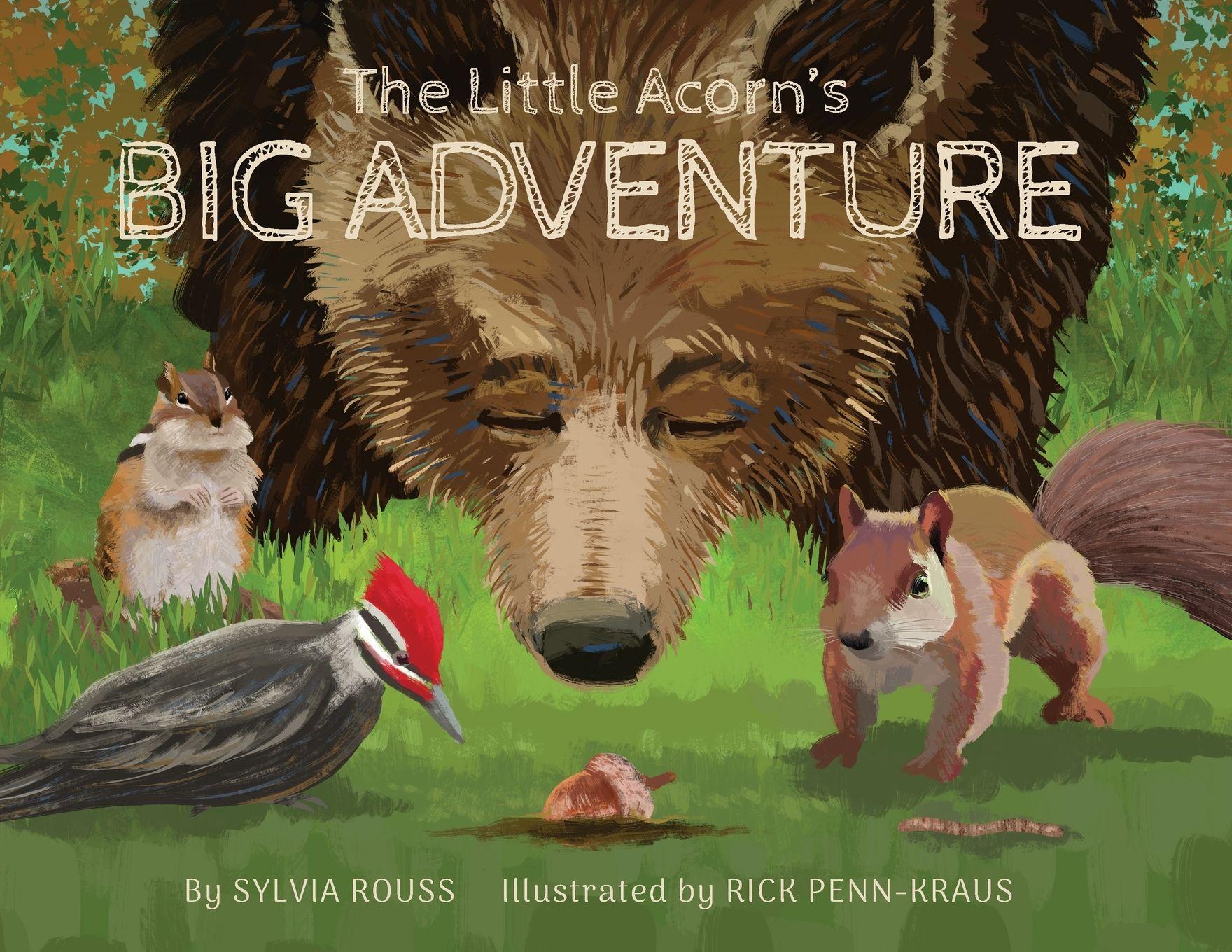 Vorderes Coverbild The Little Acorn's Big Adventure