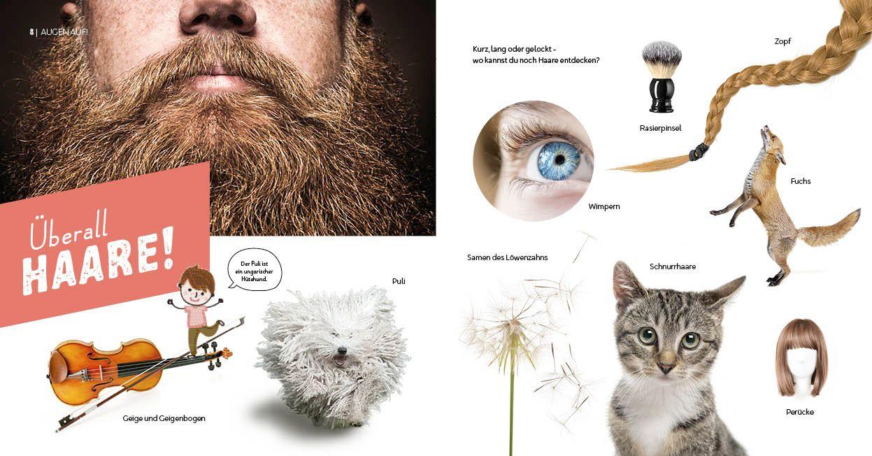 Beispielinhalt (Bild) Haare!