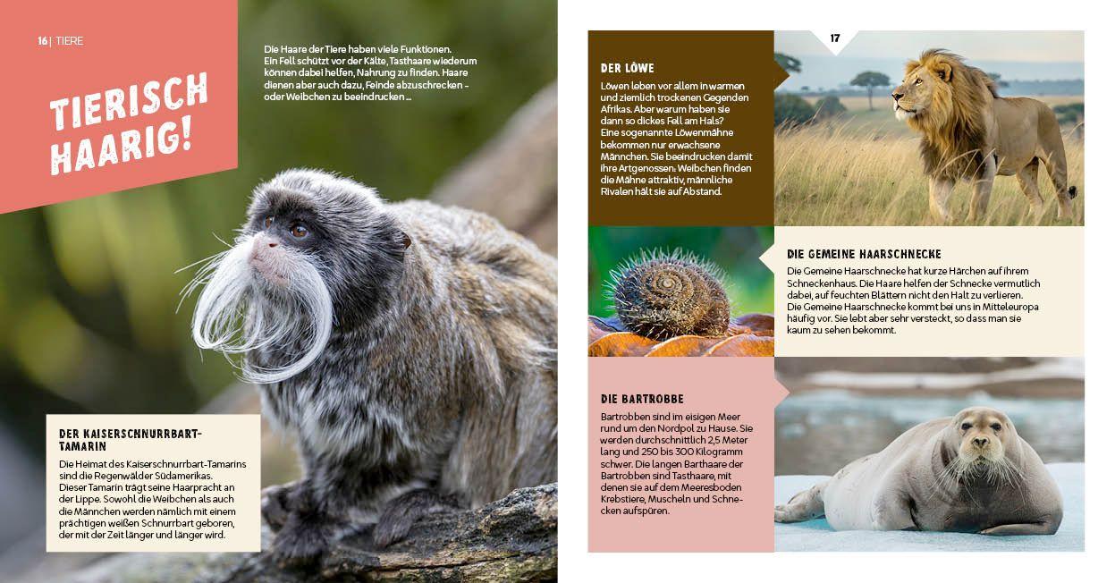 Beispielinhalt (Bild) Haare!