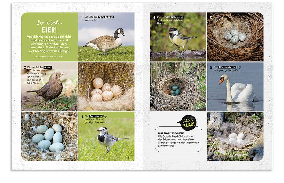 Beispielinhalt (Bild) Mein Sach- und Mach-Frühlings-Buch