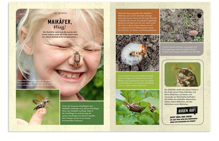 Beispielinhalt (Bild) Mein Sach- und Mach-Frühlings-Buch