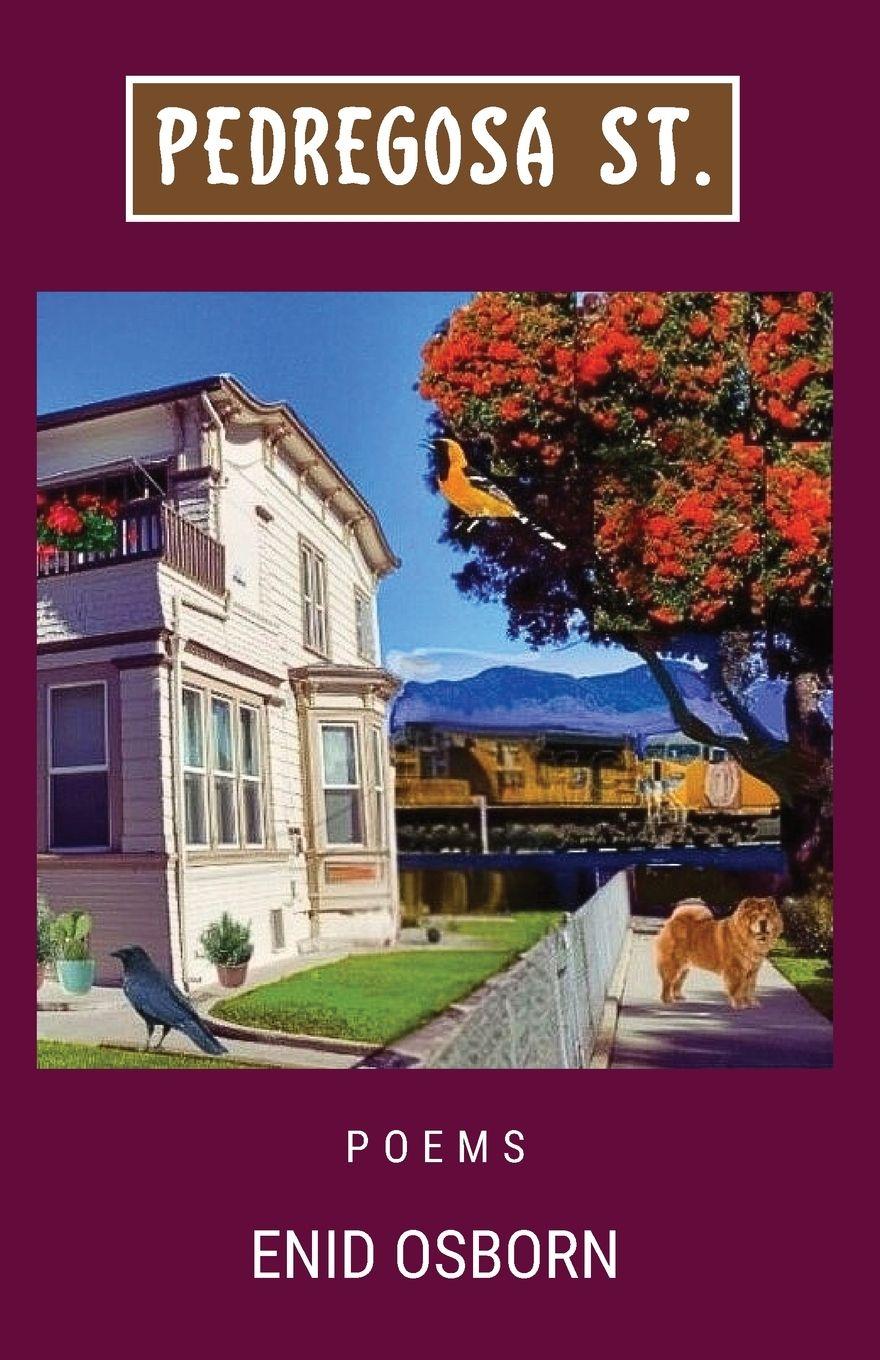 Vorderes Coverbild Pedregosa St.