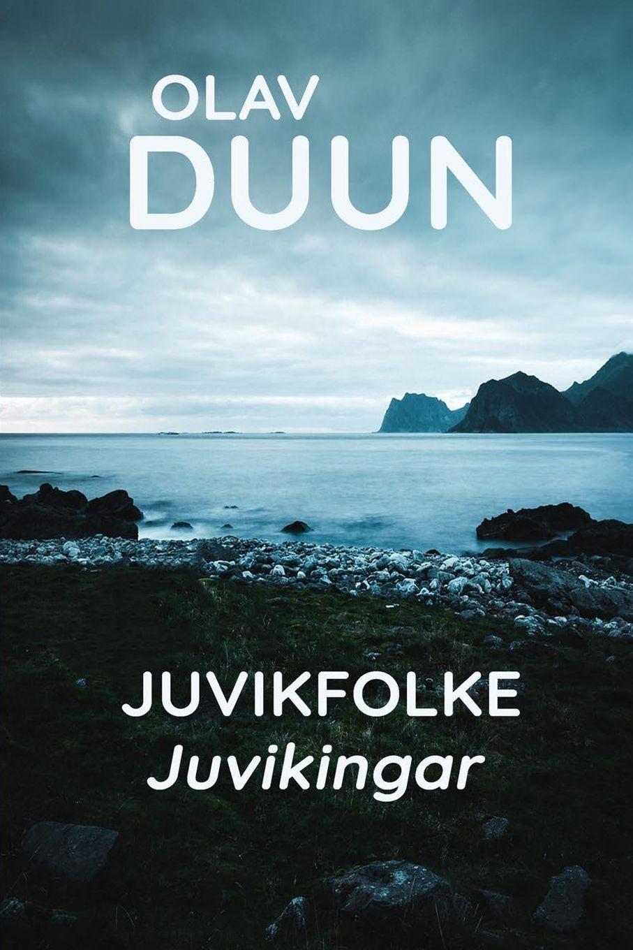 Vorderes Coverbild Juvikingar