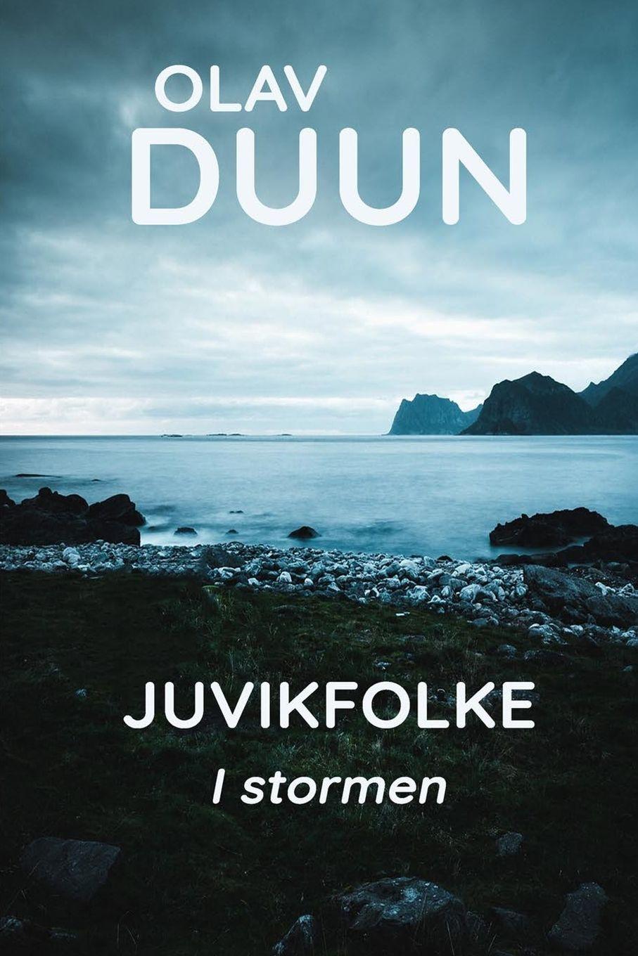 Vorderes Coverbild I stormen