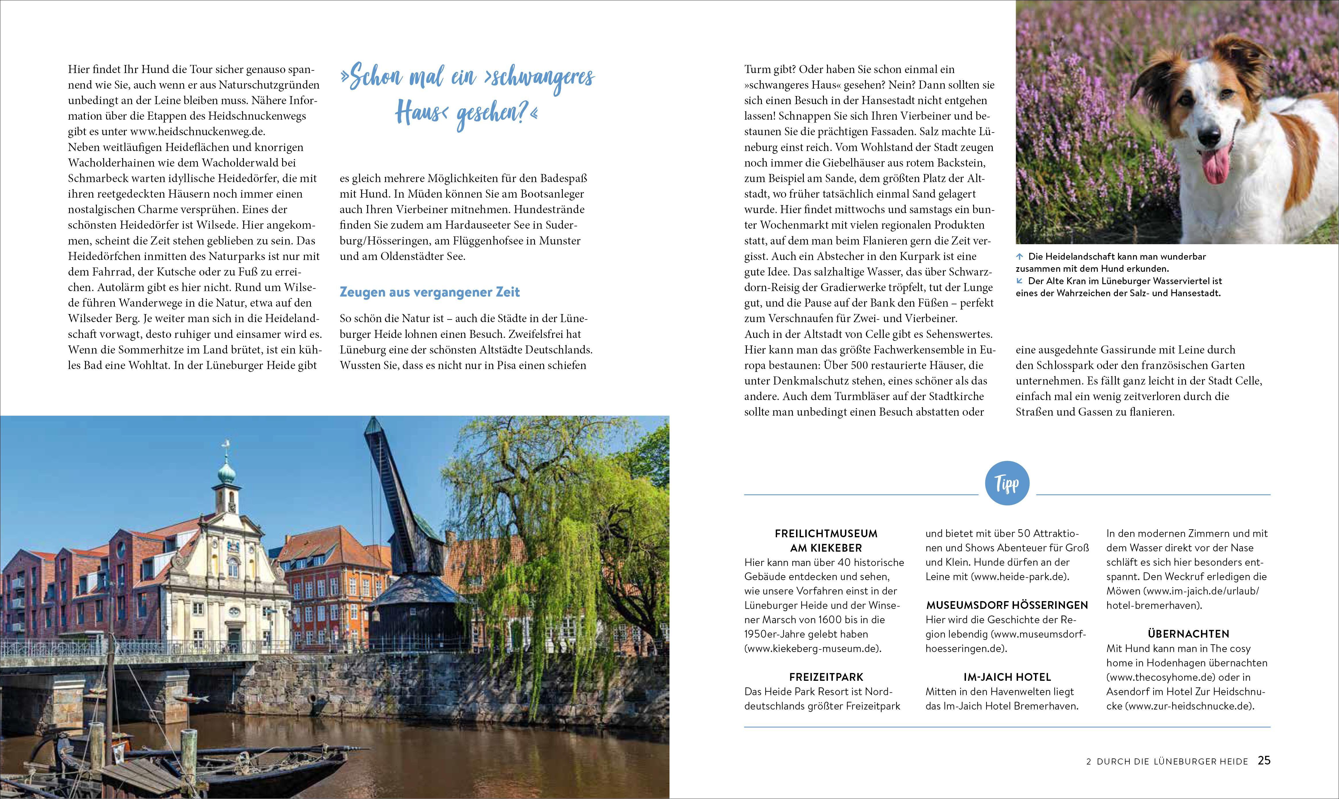 Beispielinhalt (Bild) Deutschland mit Hund