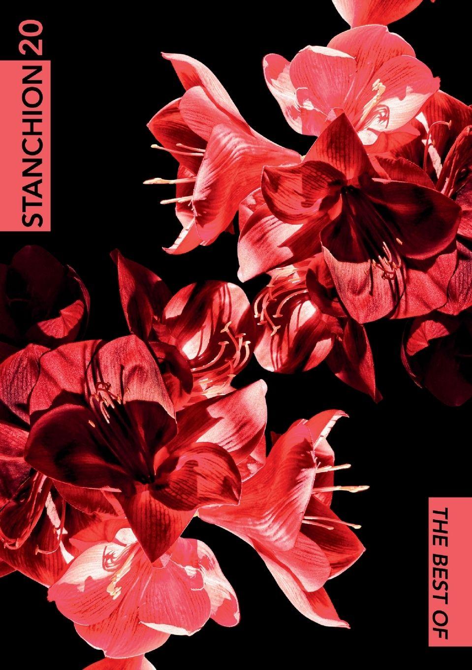 Vorderes Coverbild Stanchion Magazine Issue 20