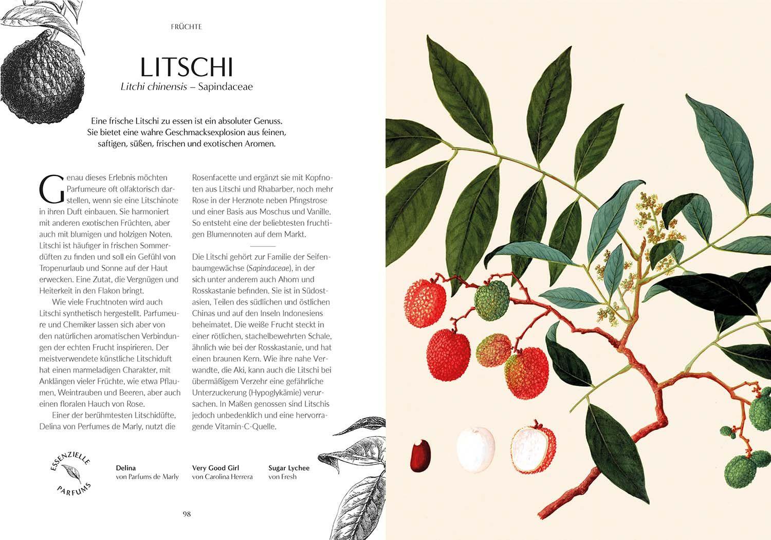 Beispielinhalt (Bild) Duft