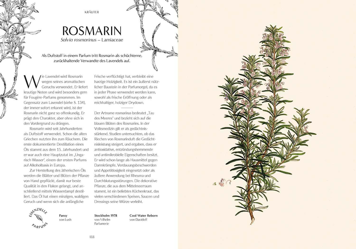 Beispielinhalt (Bild) Duft