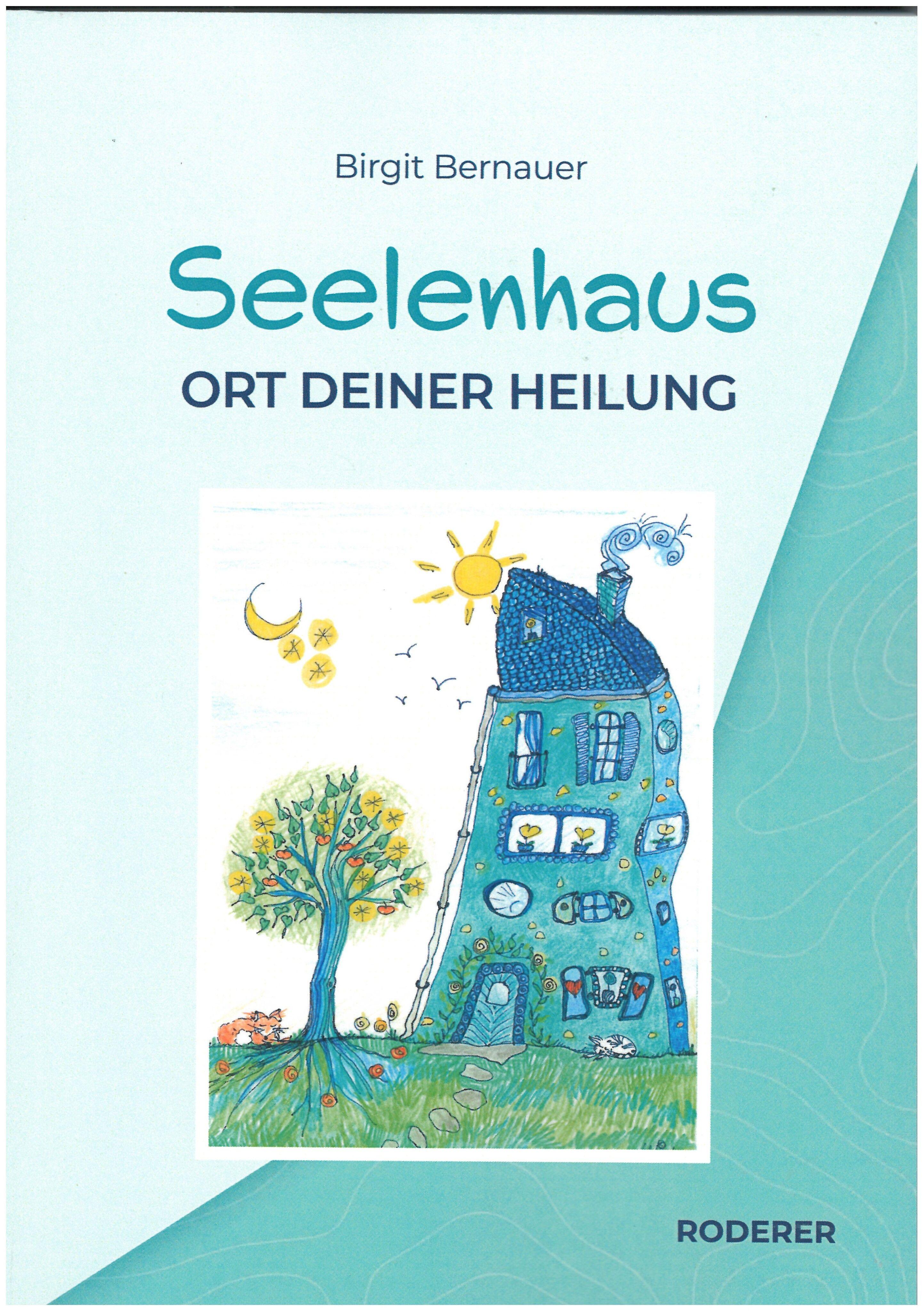 Vorderes Coverbild Seelenhaus