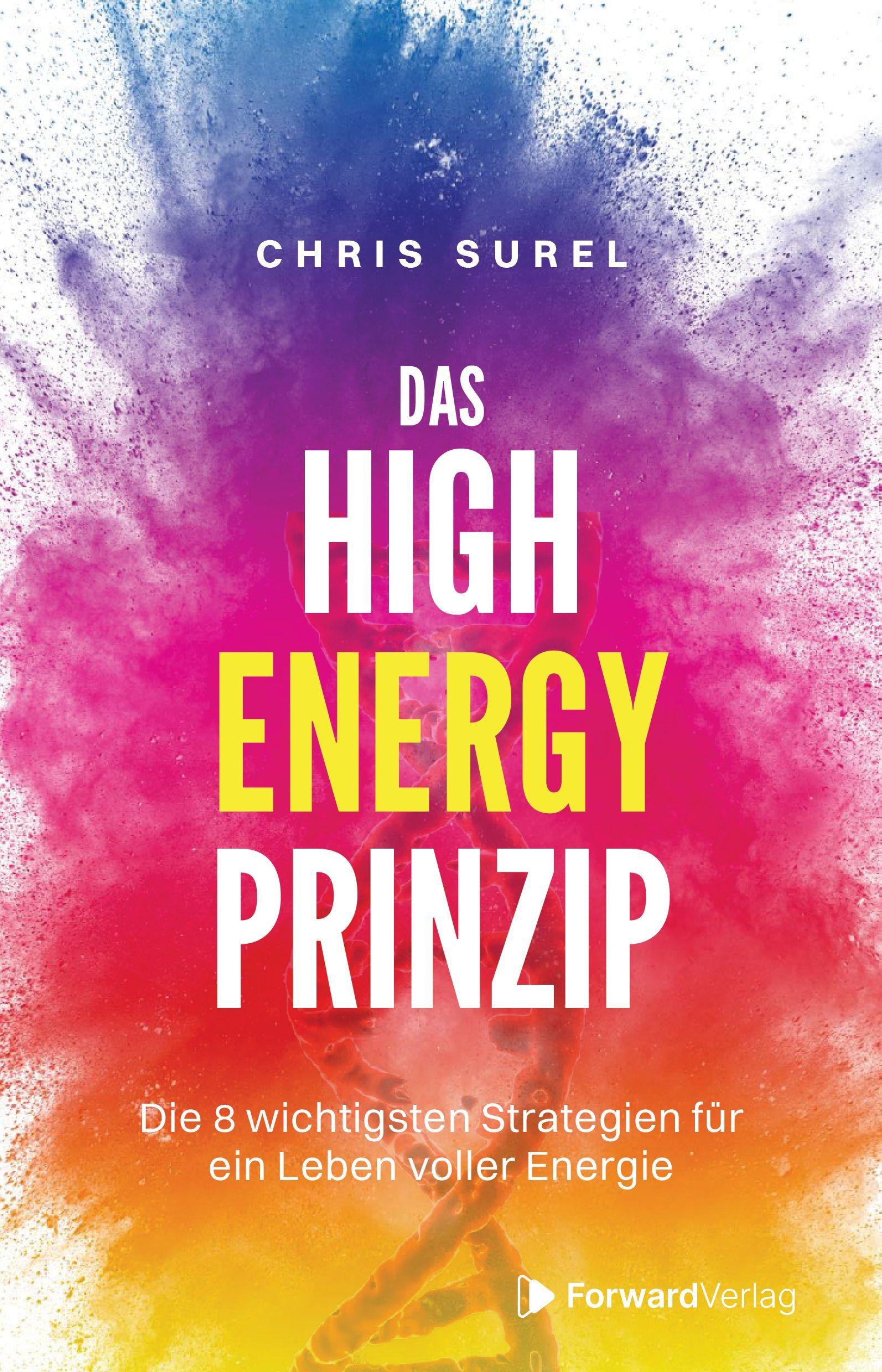 Vorderes Coverbild Das High Energy Prinzip