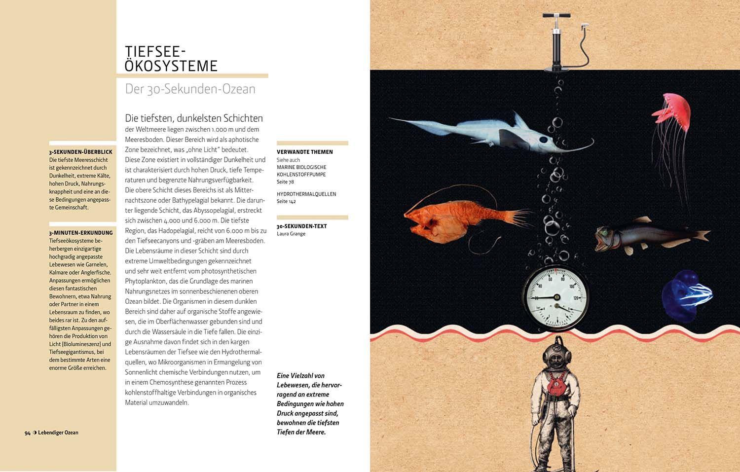 Beispielinhalt (Bild) Ozeane in 30 Sekunden