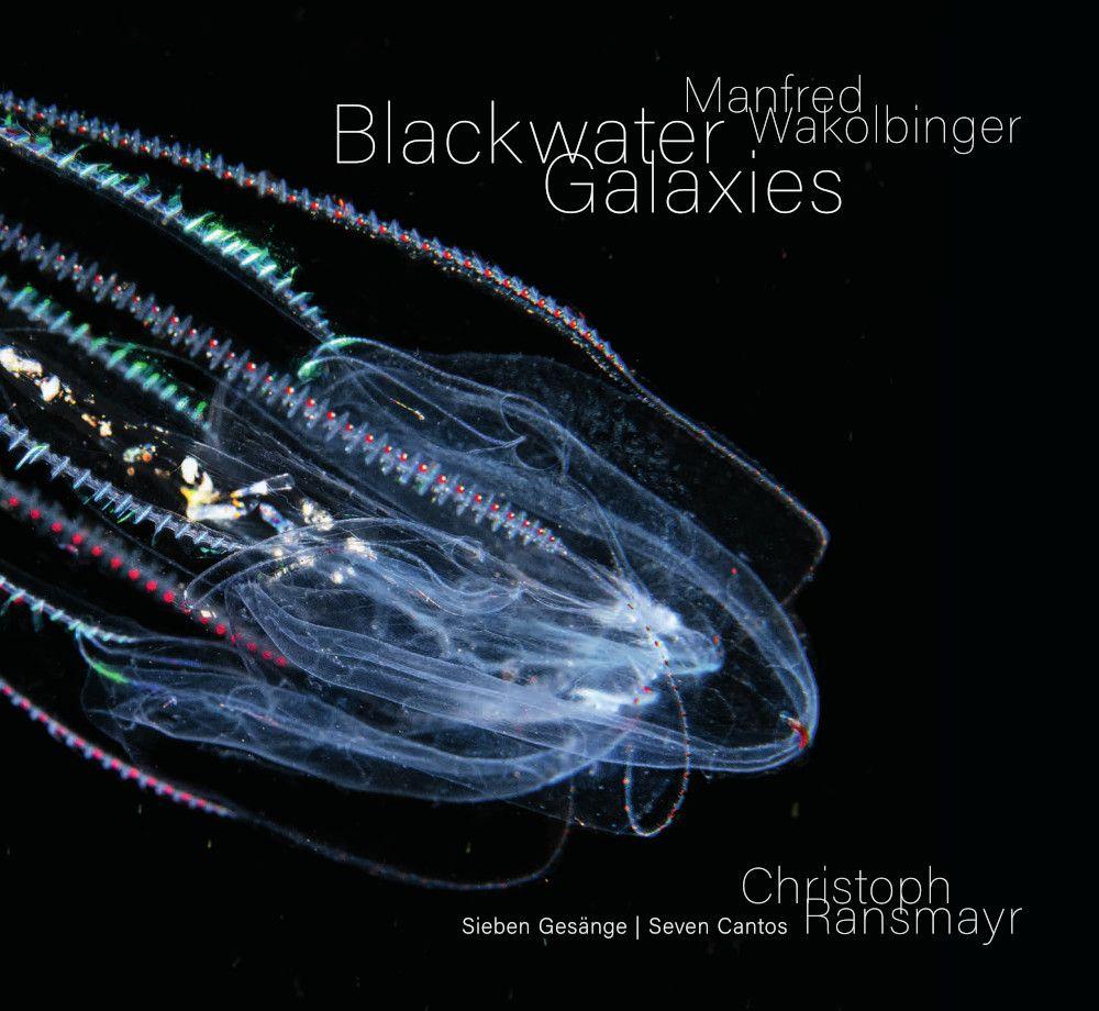 Vorderes Coverbild Manfred Wakolbinger - Blackwater Galaxies