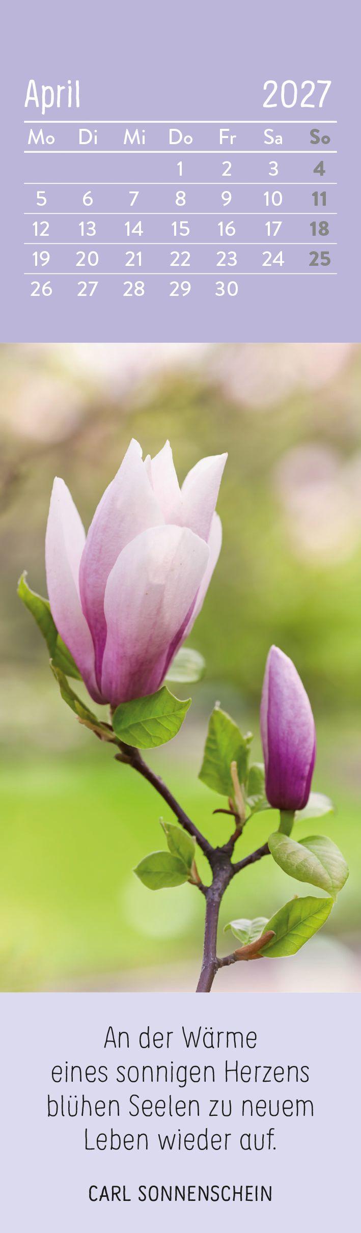 Beispielinhalt (Bild) Lesezeichenkalender 2027: Der kleine Glückskalender