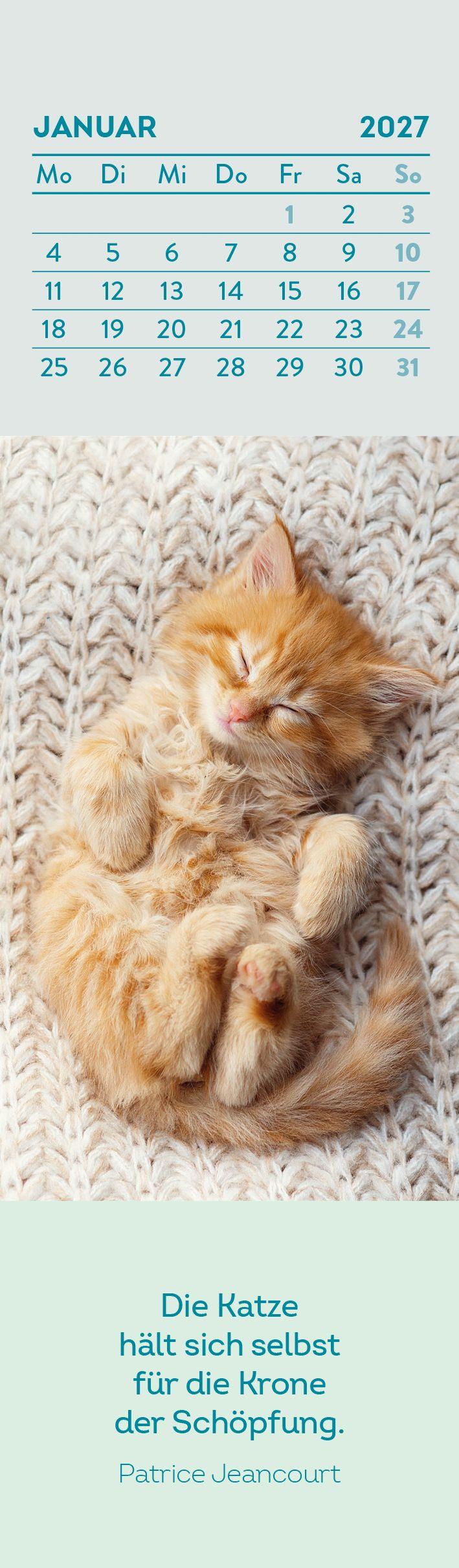 Beispielinhalt (Bild) Lesezeichenkalender 2027: Katzenfreunde