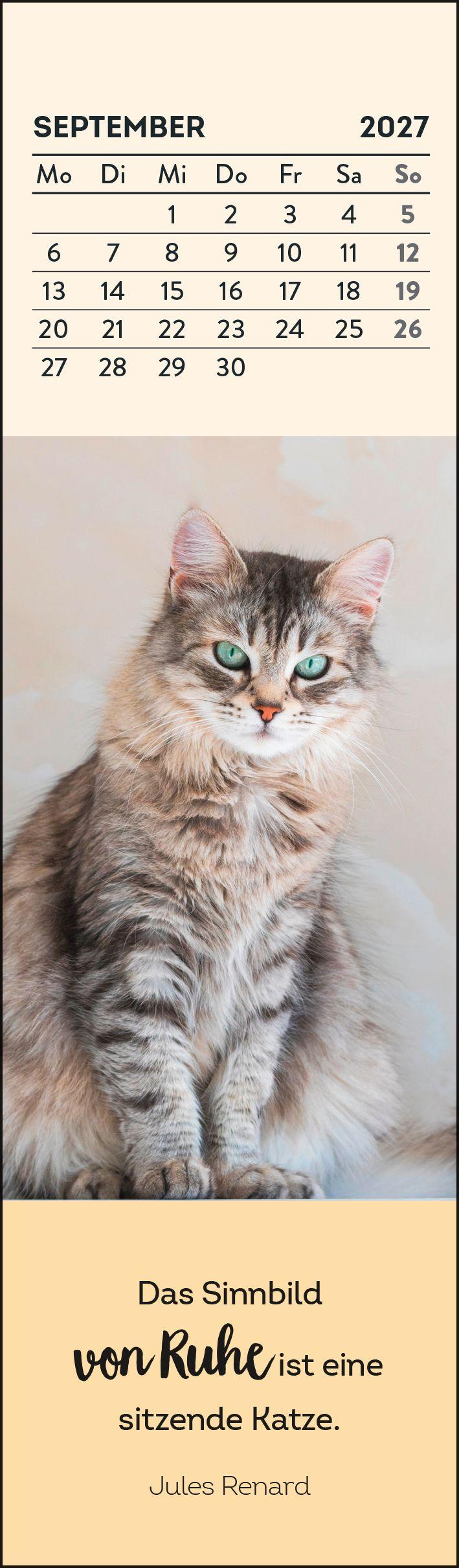 Beispielinhalt (Bild) Lesezeichenkalender 2027: Katzenfreunde