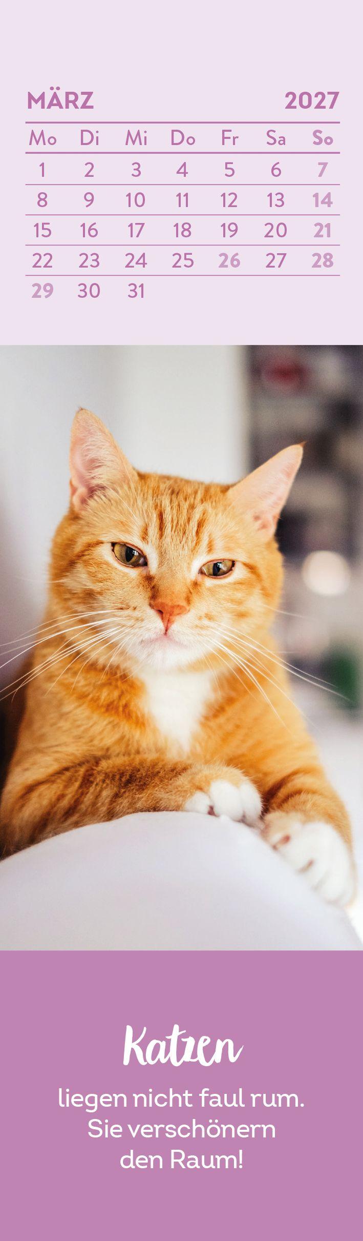 Beispielinhalt (Bild) Lesezeichenkalender 2027: Katzenfreunde