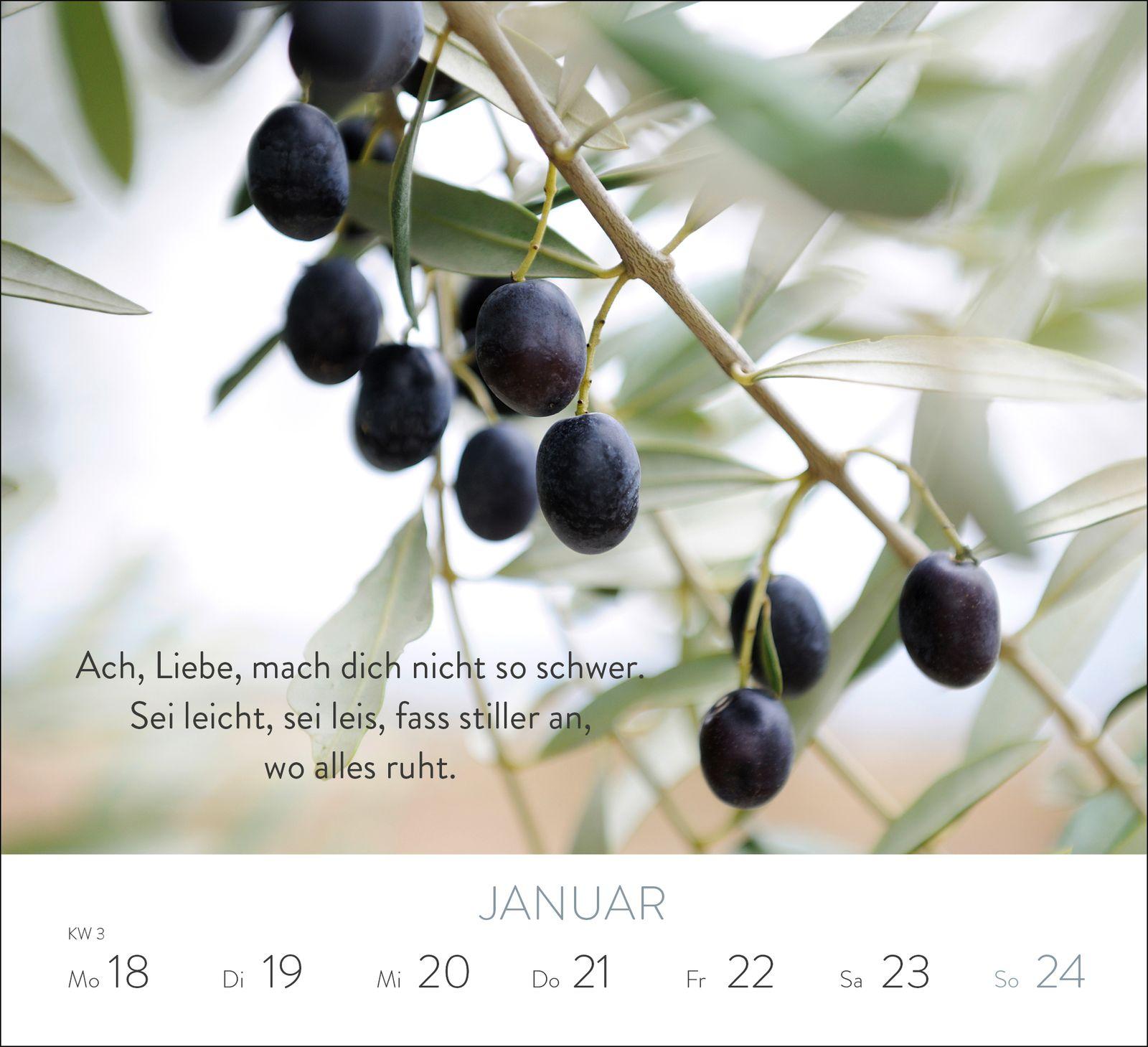 Beispielinhalt (Bild) Wochenkalender 2027: Mit dem Herzen denken