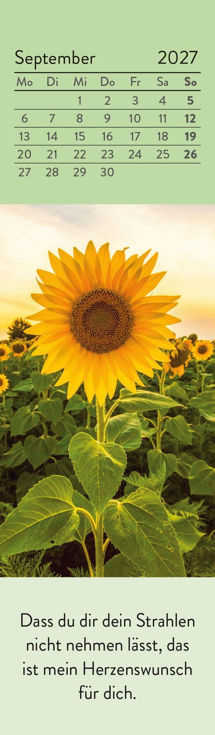 Beispielinhalt (Bild) Lesezeichenkalender 2027: Was ich dir von Herzen wünsche