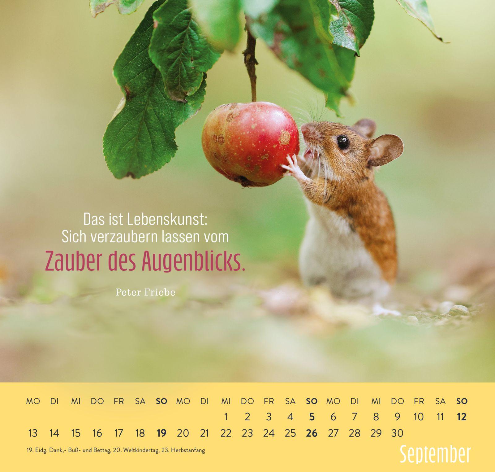 Beispielinhalt (Bild) Wandkalender 2027: Kleine Glücksbringer für dein Jahr