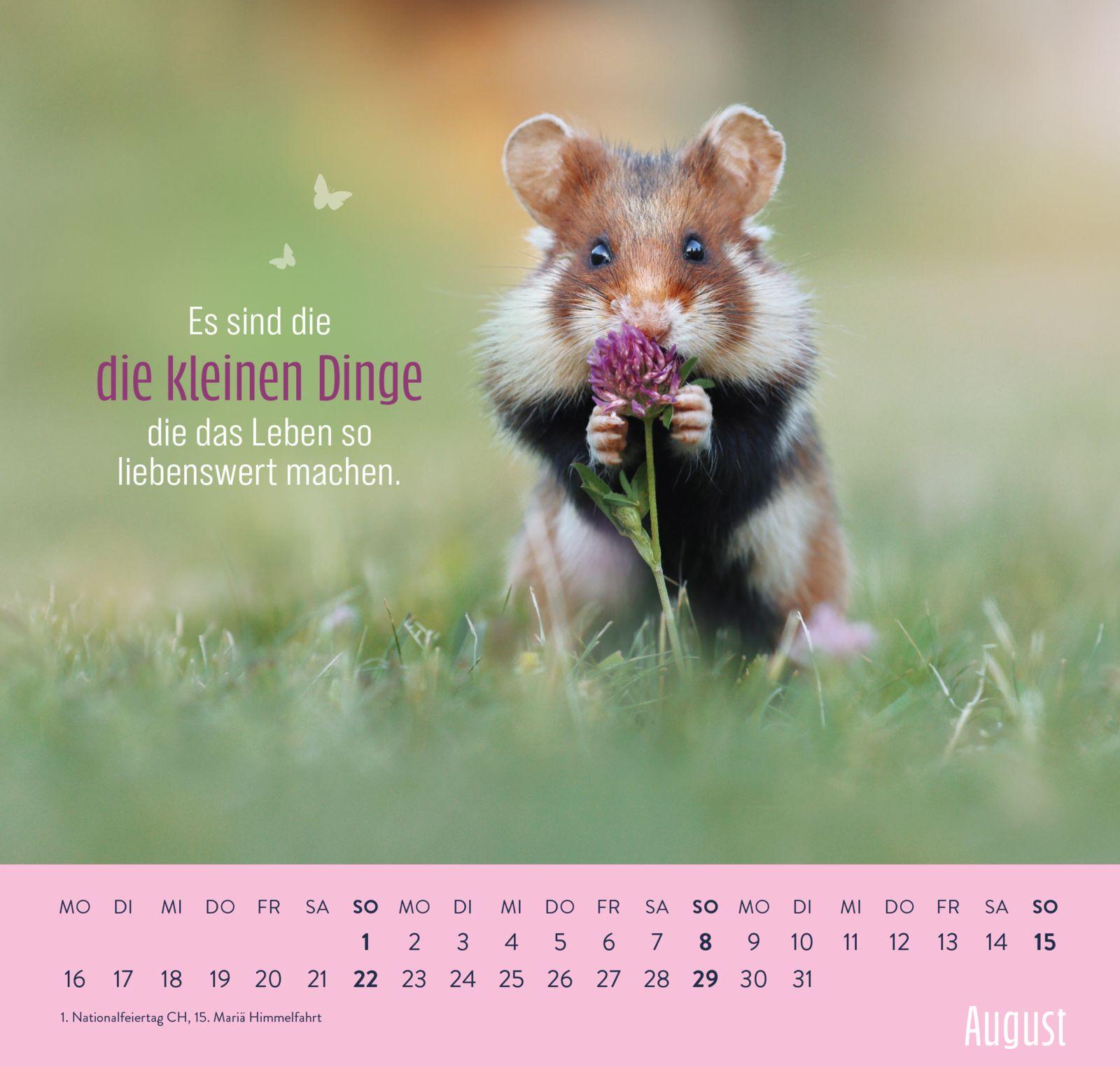 Beispielinhalt (Bild) Wandkalender 2027: Kleine Glücksbringer für dein Jahr