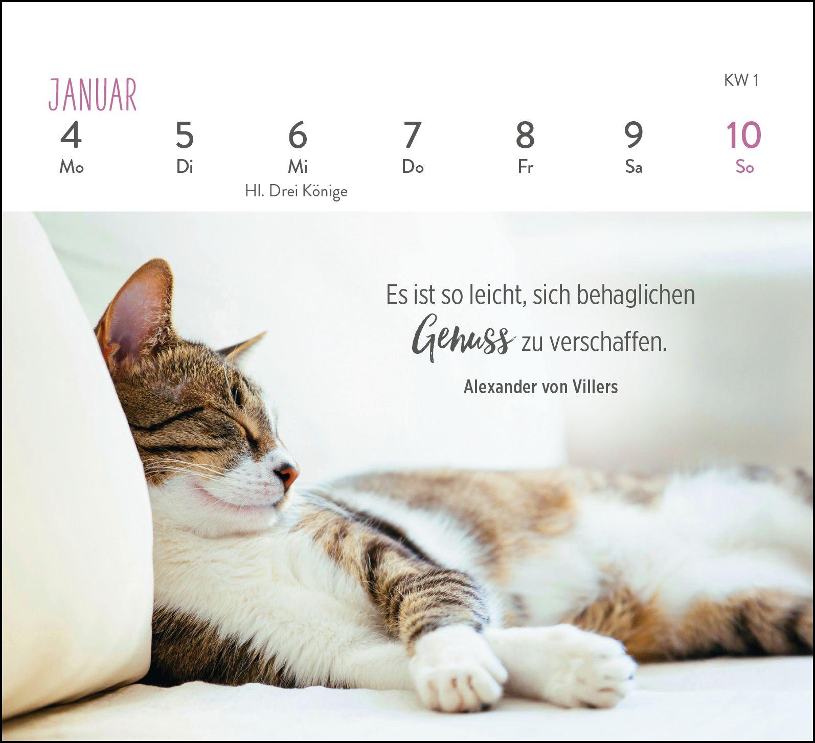 Beispielinhalt (Bild) Mini-Wochenkalender 2027: Für Katzenfreunde