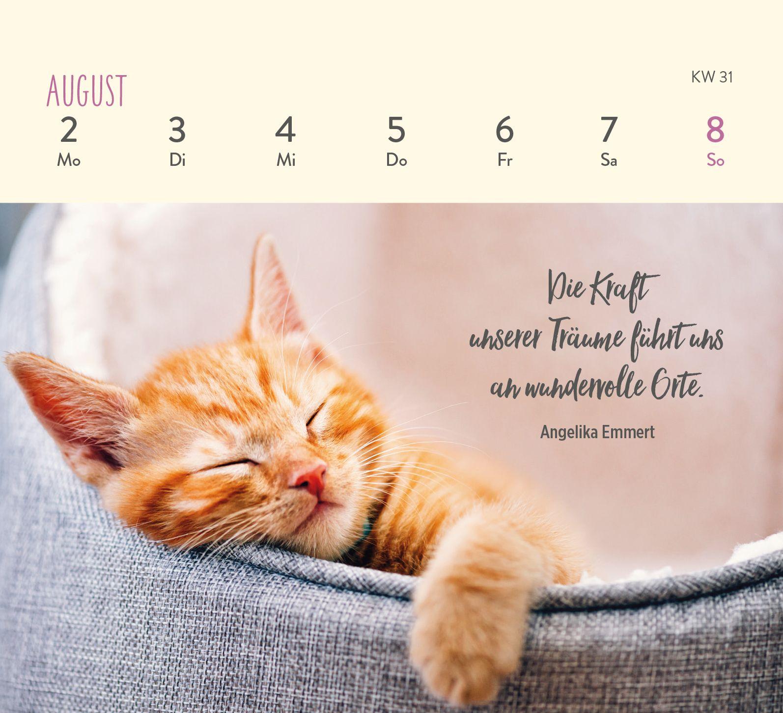 Beispielinhalt (Bild) Mini-Wochenkalender 2027: Für Katzenfreunde