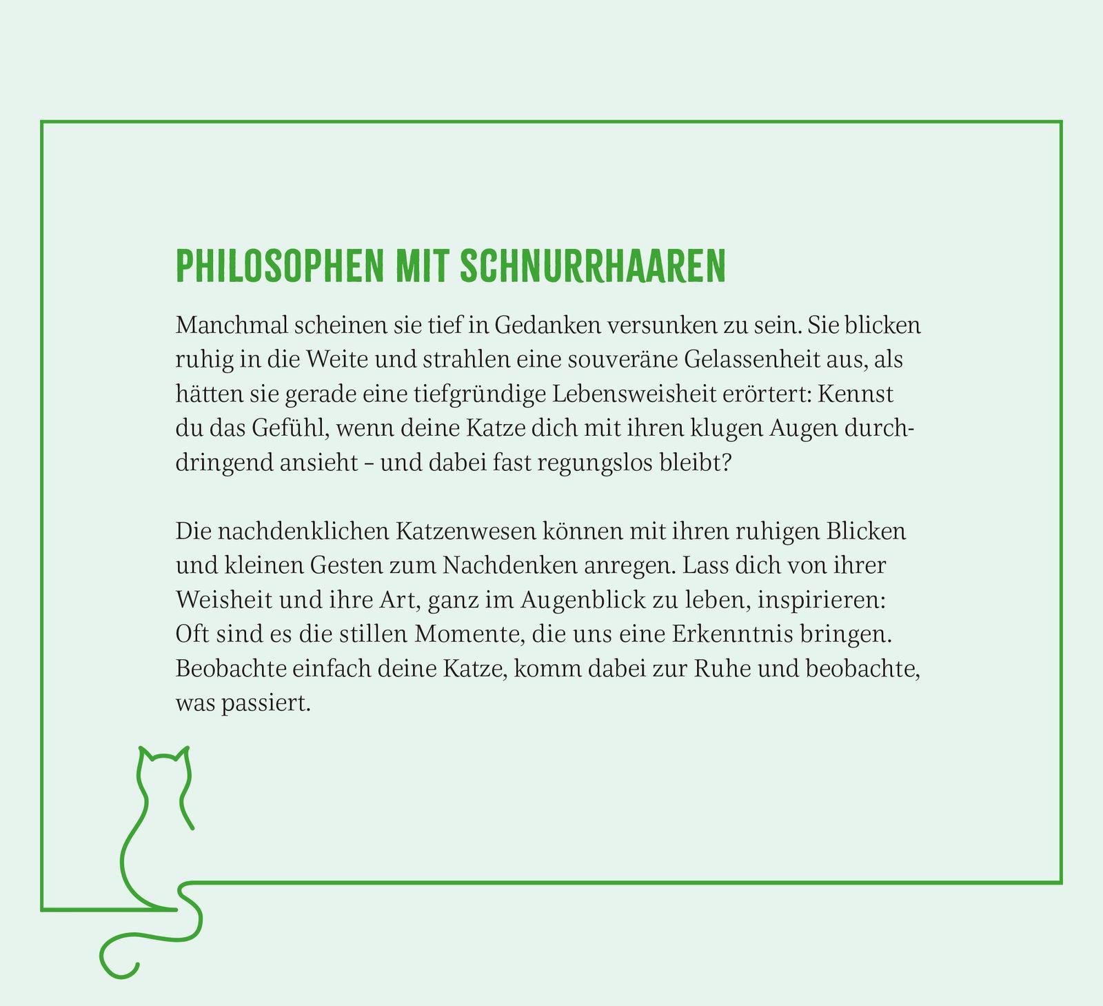 Beispielinhalt (Bild) Wochenkalender 2027: Kluge Katzen