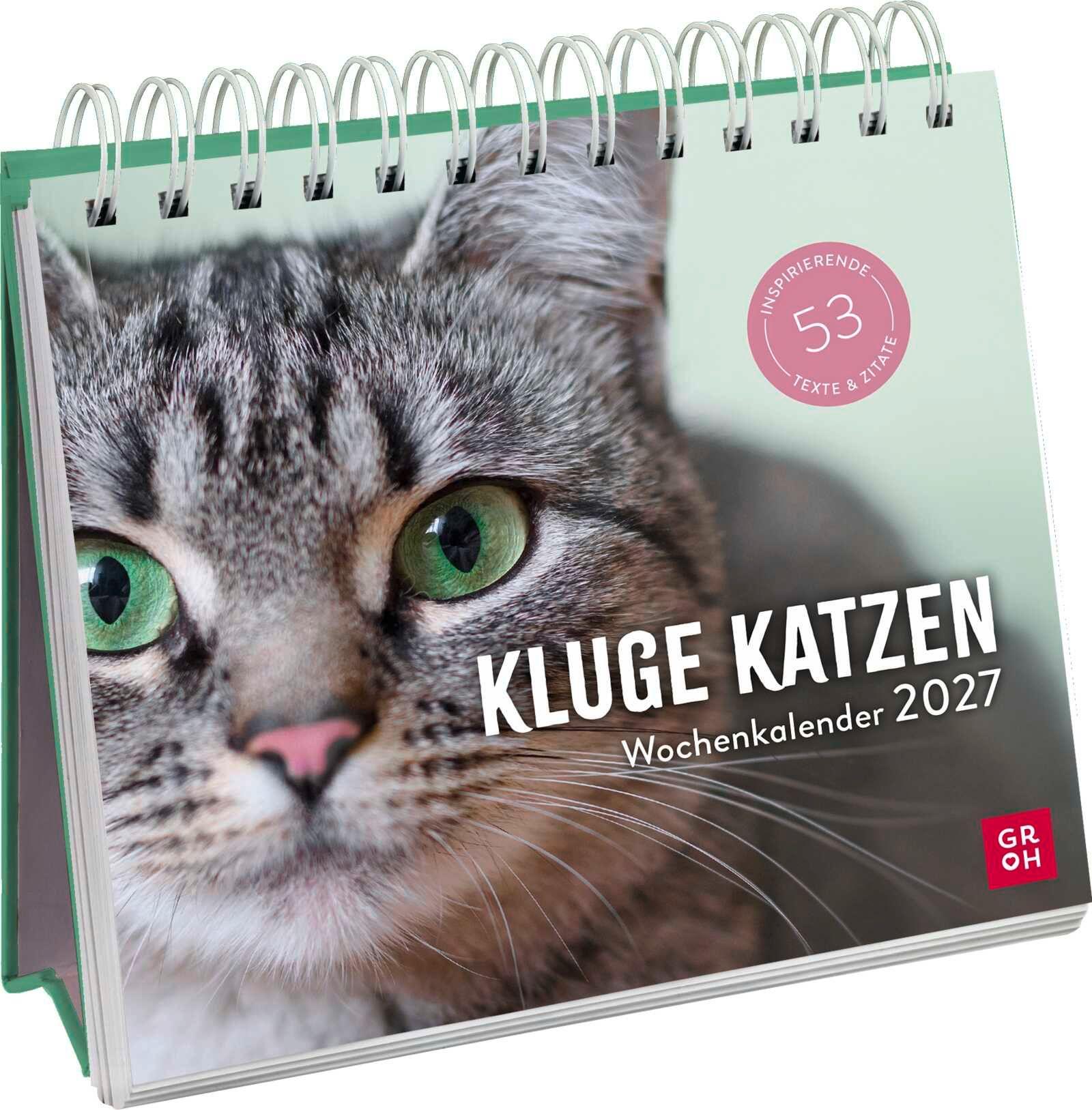 Vorderes Coverbild Wochenkalender 2027: Kluge Katzen