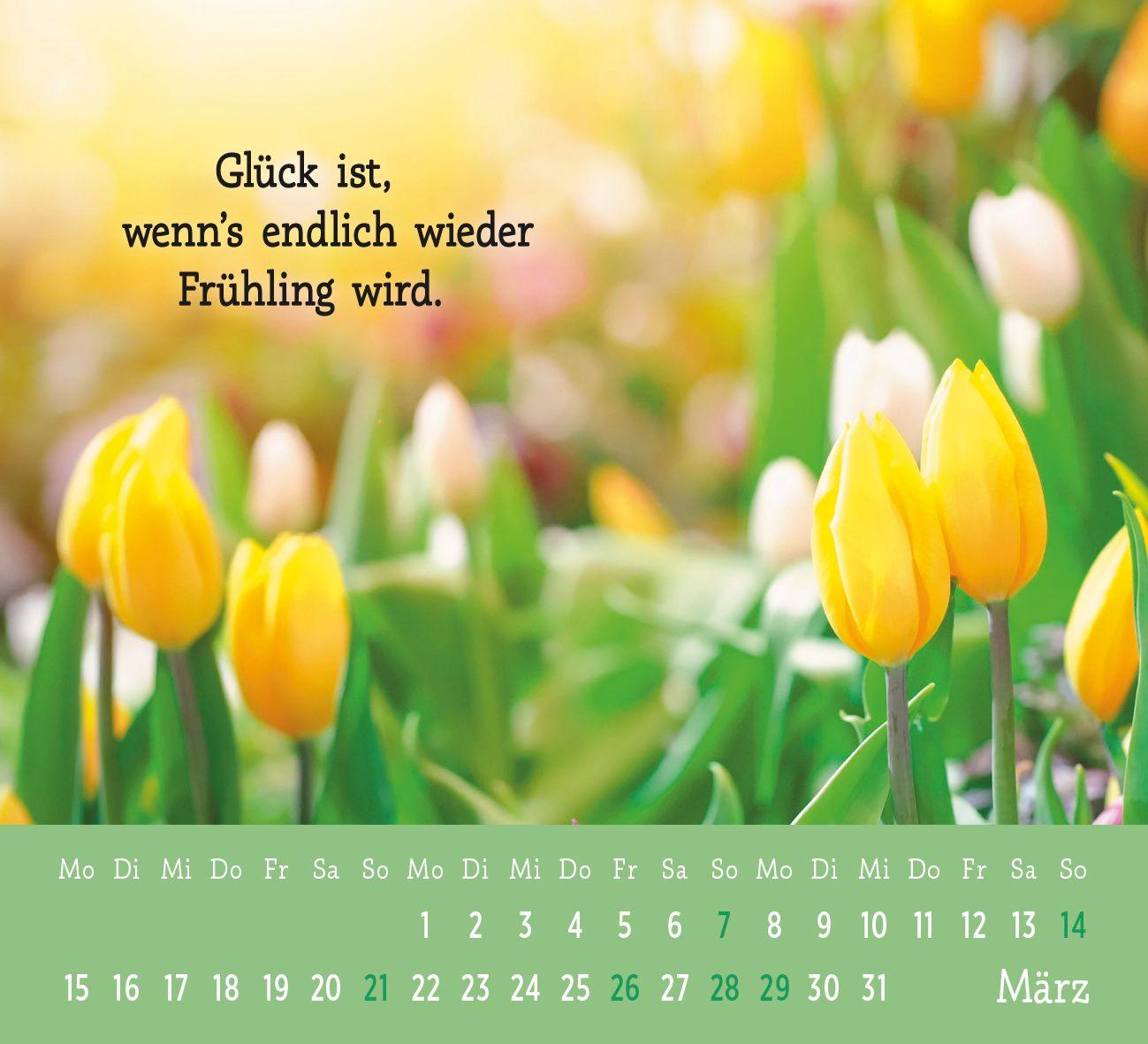 Beispielinhalt (Bild) Mini-Kalender 2027: Der kleine Glückskalender