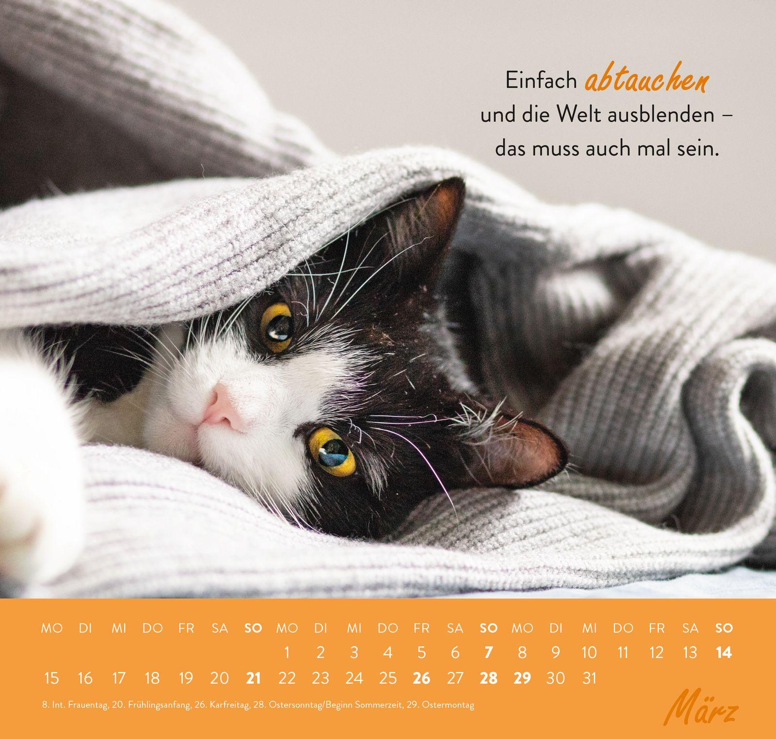 Beispielinhalt (Bild) Wandkalender 2027: Einfach mal abhängen
